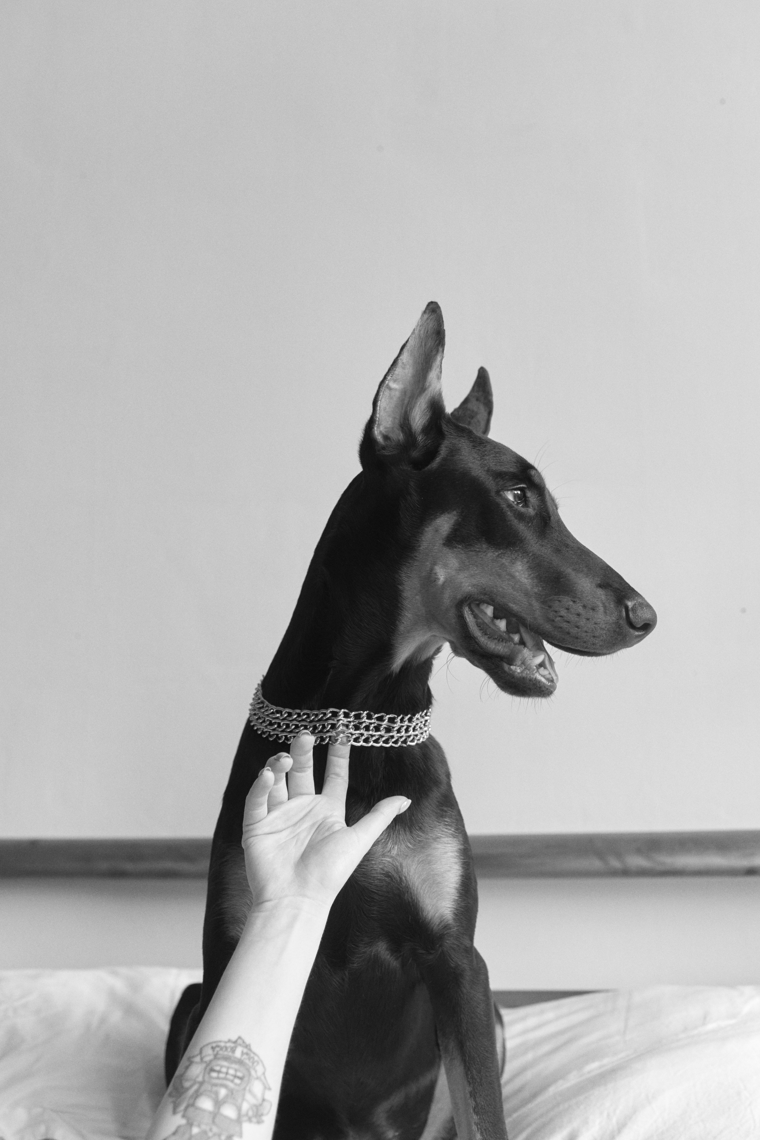 Индивидуальная. Семейный фотограф в Санкт-Петербурге Мария Соколова