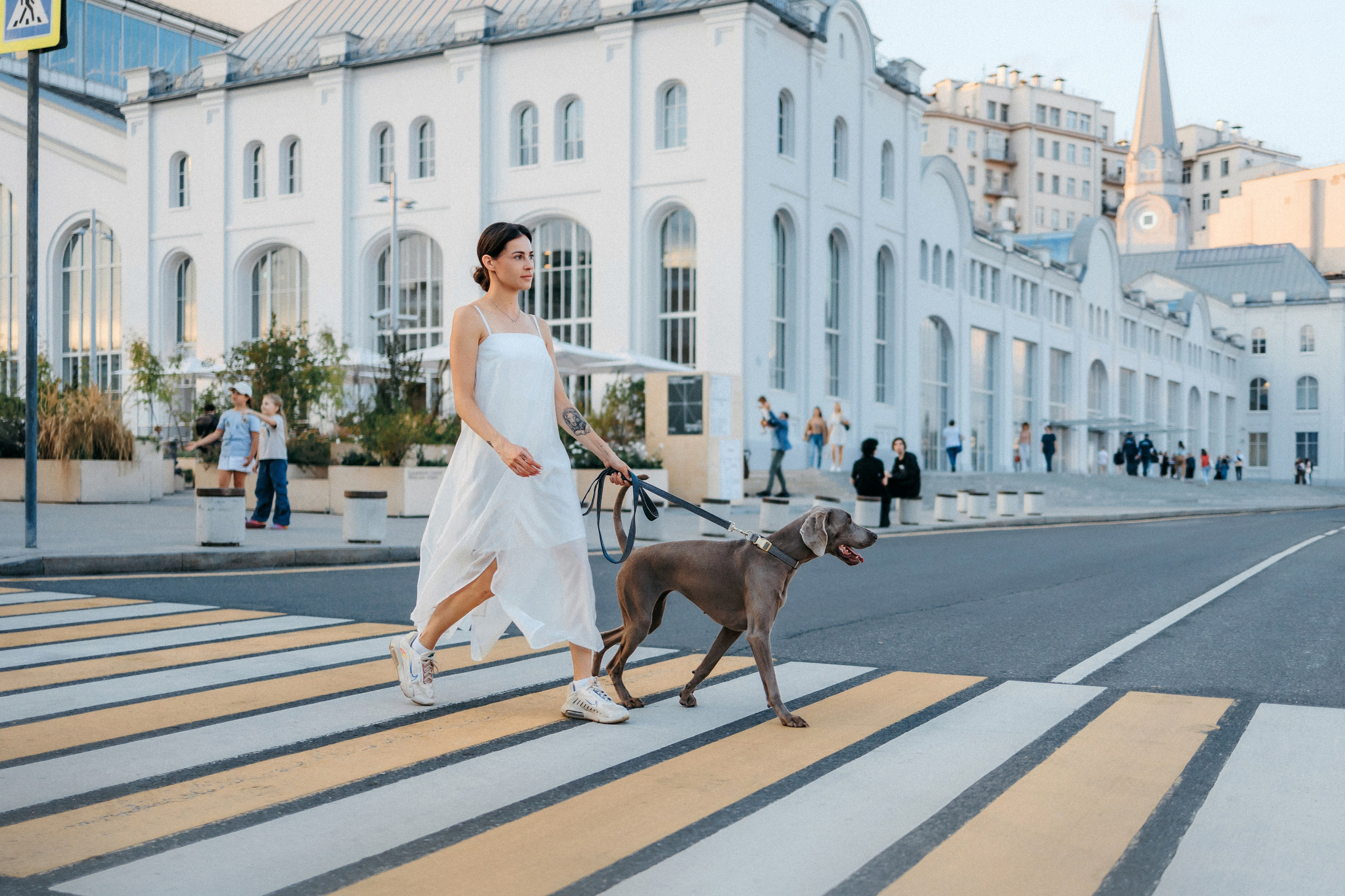 Соня и Майли. Фотограф-анималист Елена Радченко, Москва
