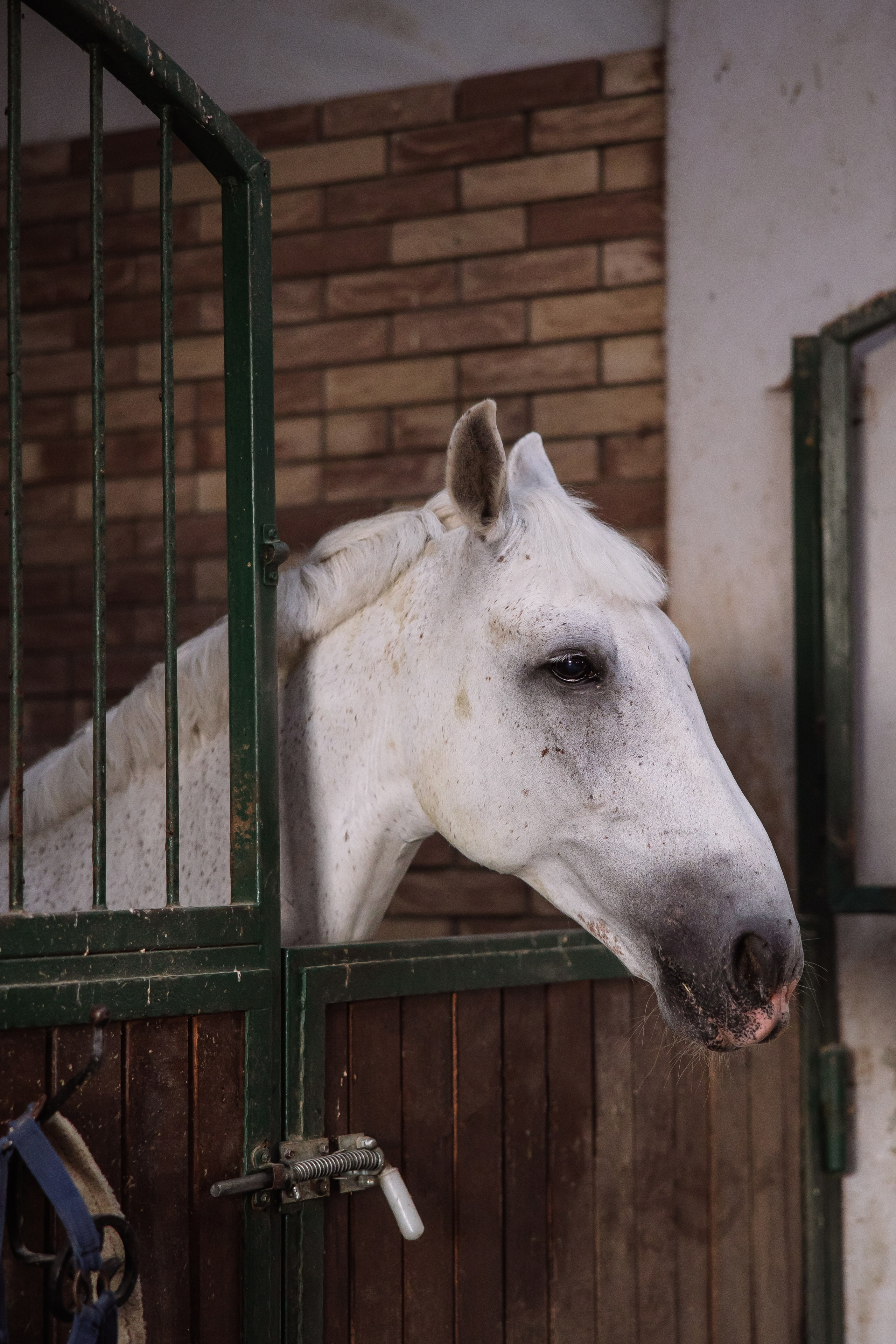 Фотограф в Краснодаре