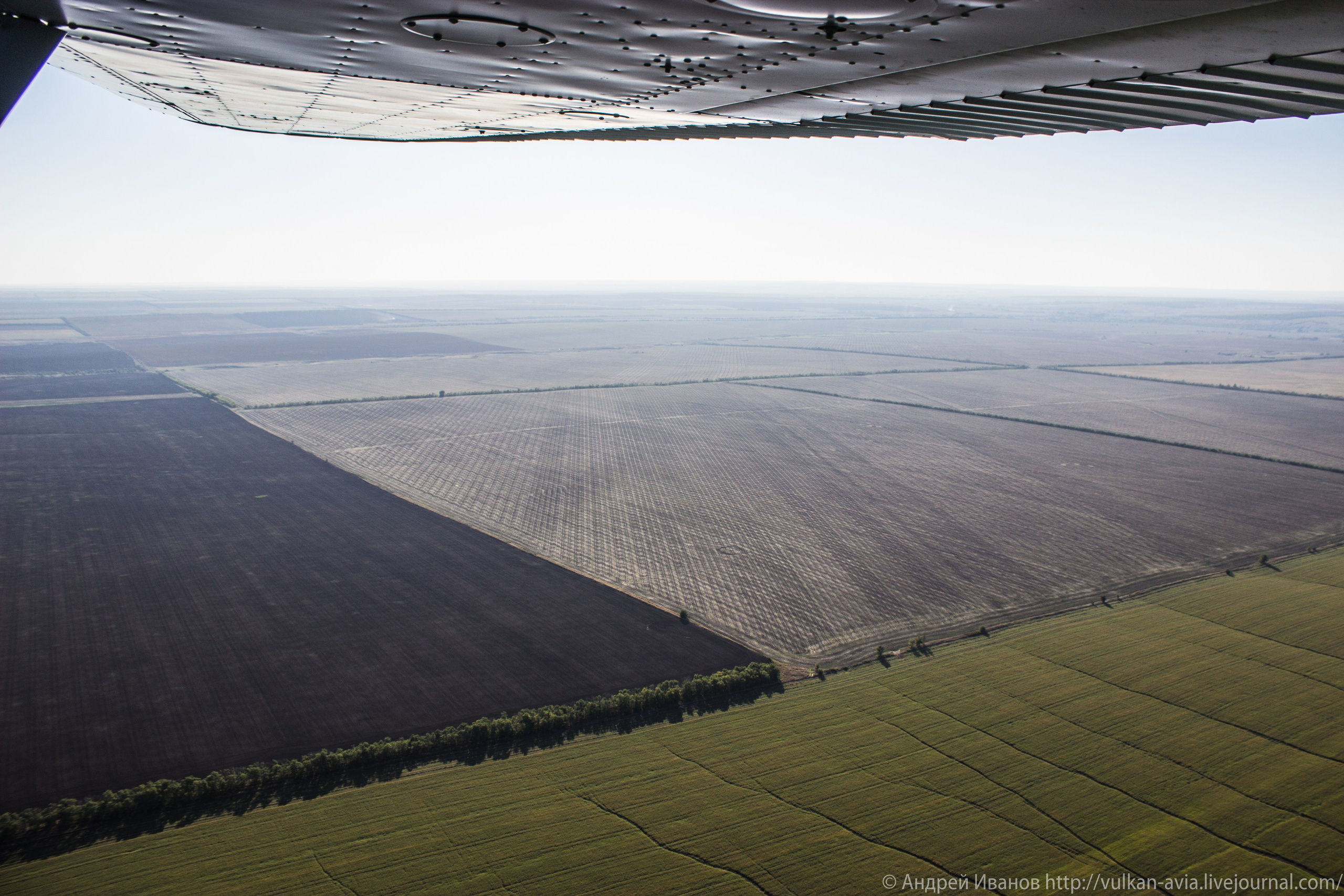 Волгодонск аэр. Потапов слёт «Небо для всех» (2021 г.). Фотоальбом показывающий увлекательный мир авиации и мир медведей Андрея Иванова