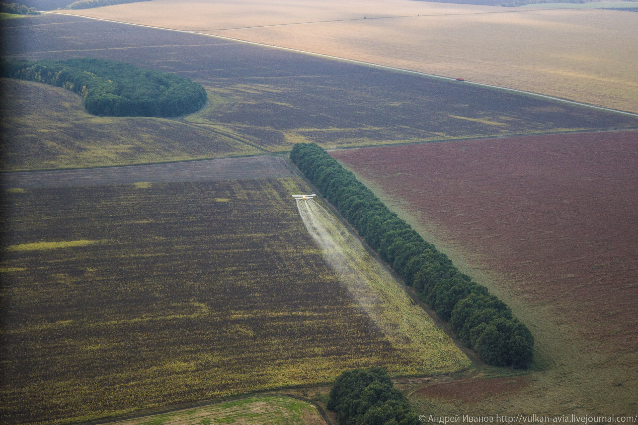 Волгодонск аэр. Потапов слёт «Небо для всех» (2021 г.). Фотоальбом показывающий увлекательный мир авиации и мир медведей Андрея Иванова