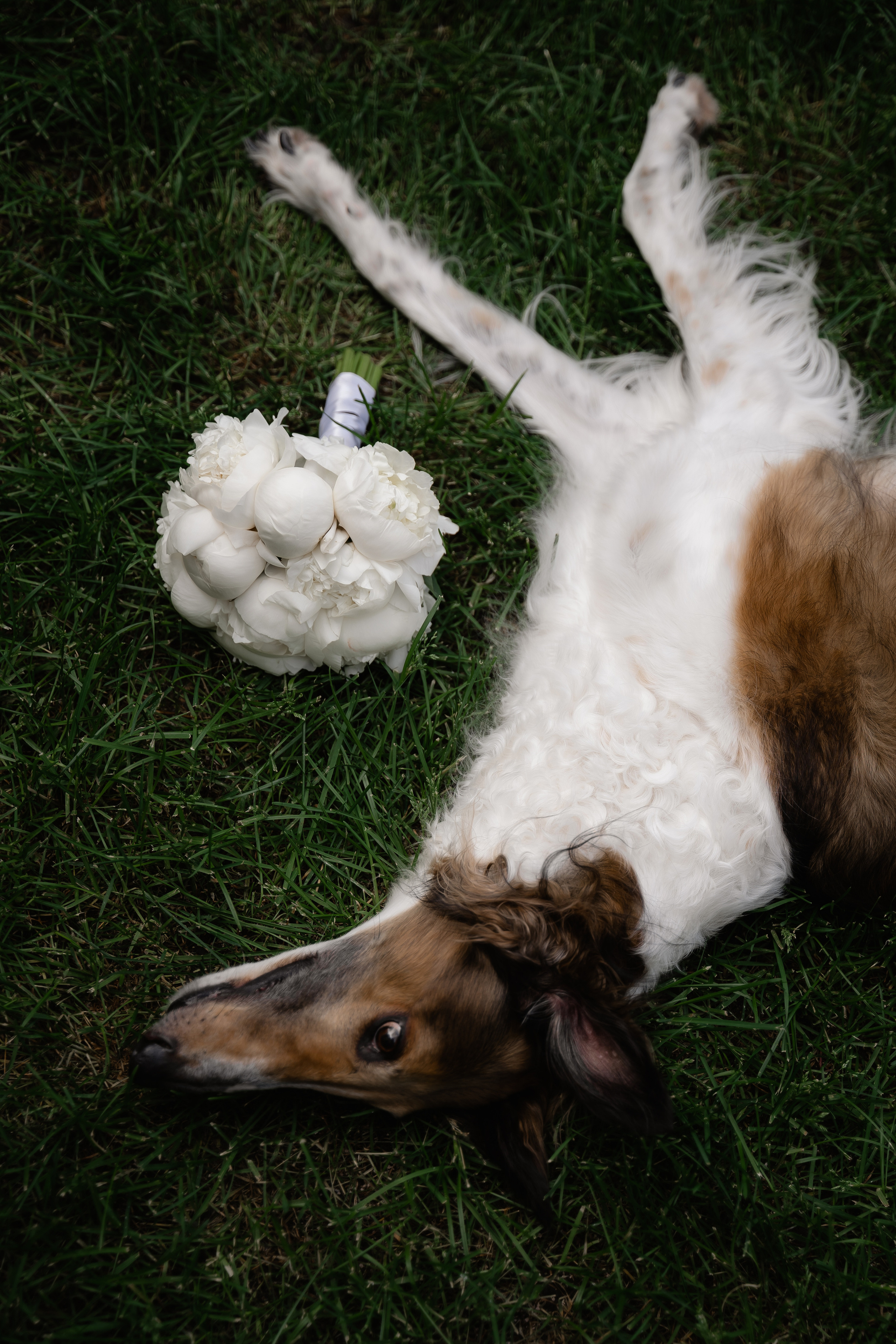 A & I. Свадебный фотограф Диана Бирюкова Казань