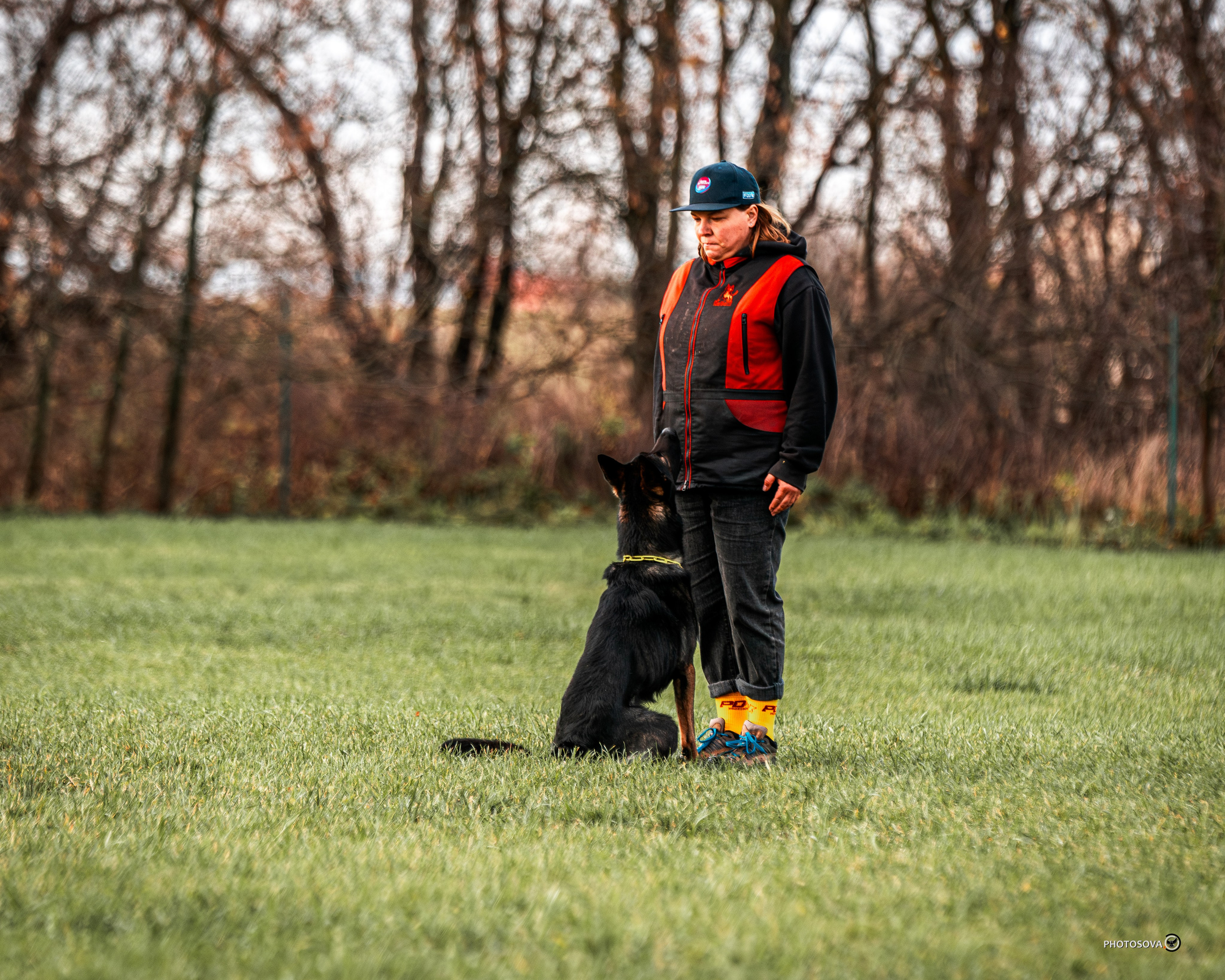 МЫ — КОМАНДА (соревнования) OKD, BH, IBGH, IGP. Фотограф-анималист, семейный фотограф в Москве и Подмосковье. Фотосъёмка кинологических дисциплин