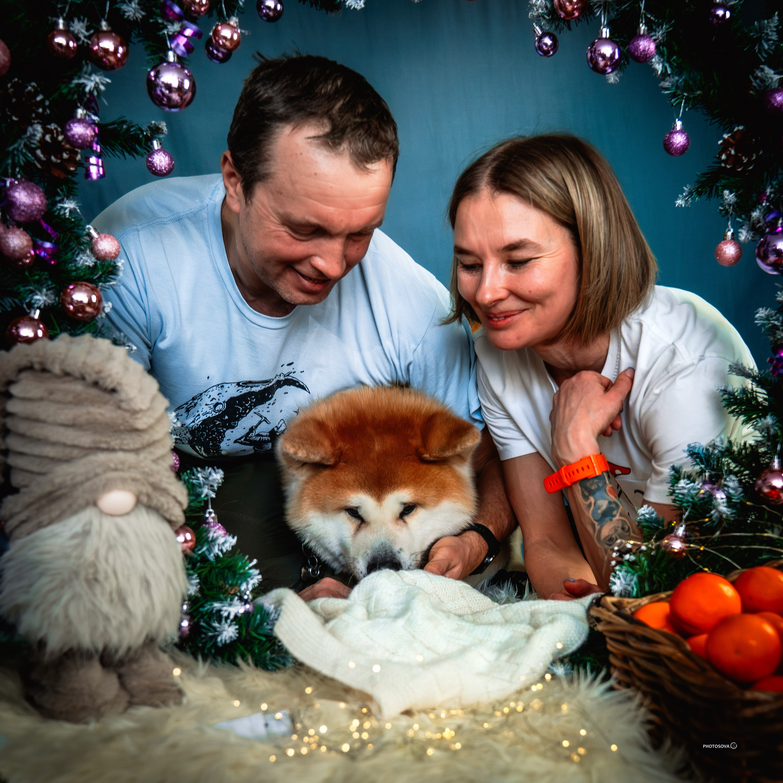 ФОТОПАМЯТЬ ВАШИХ ЭМОЦИЙ. Фотограф-анималист, семейный фотограф в Москве и Подмосковье. Фотосъёмка кинологических дисциплин