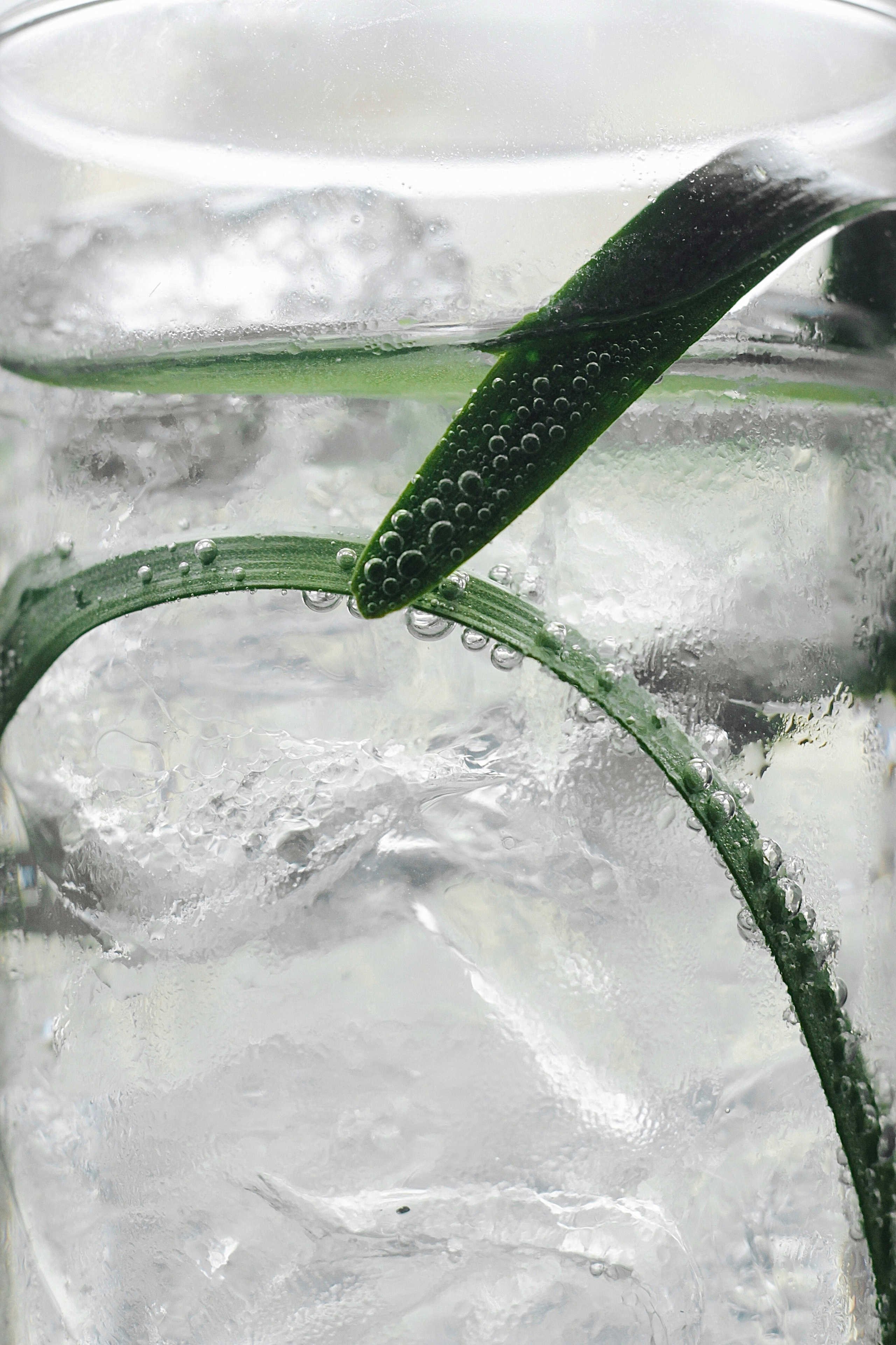 Animals. Света Голобородько, фудфотограф в Санкт-Петербурге