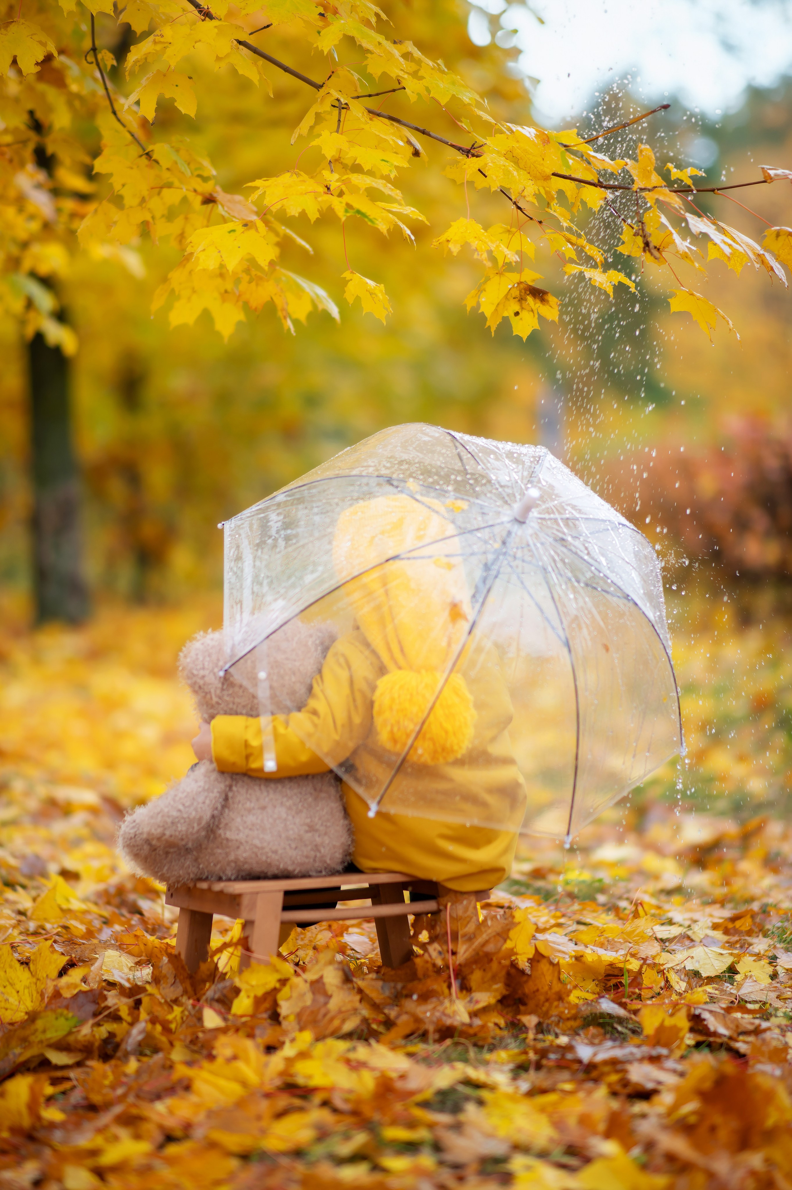 Осенние съемки 2023. Детский и семейный фотограф Москва Рязань