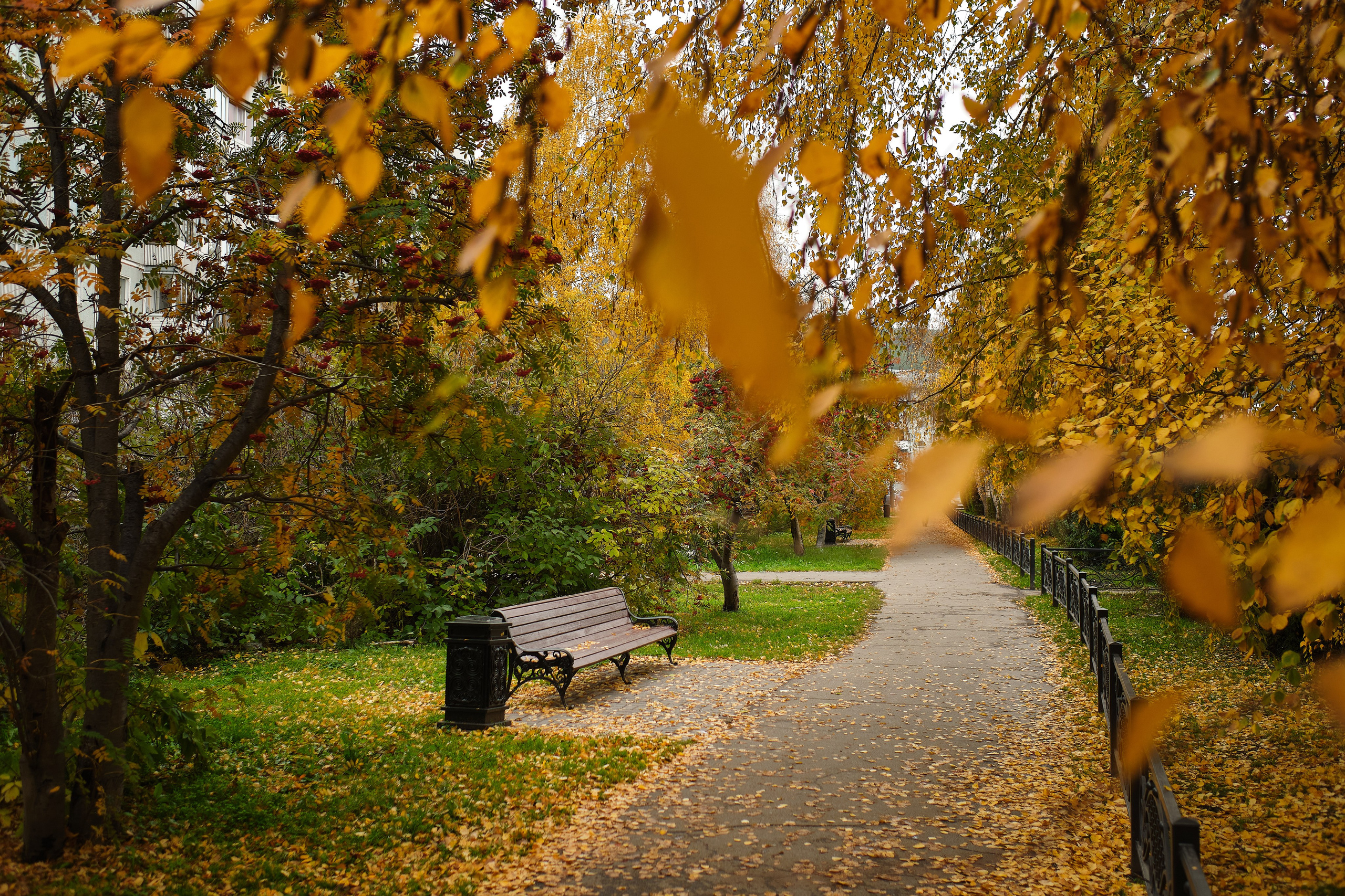 Для бизнеса. Профессиональный фотограф Барнаул Анастасия Фримал