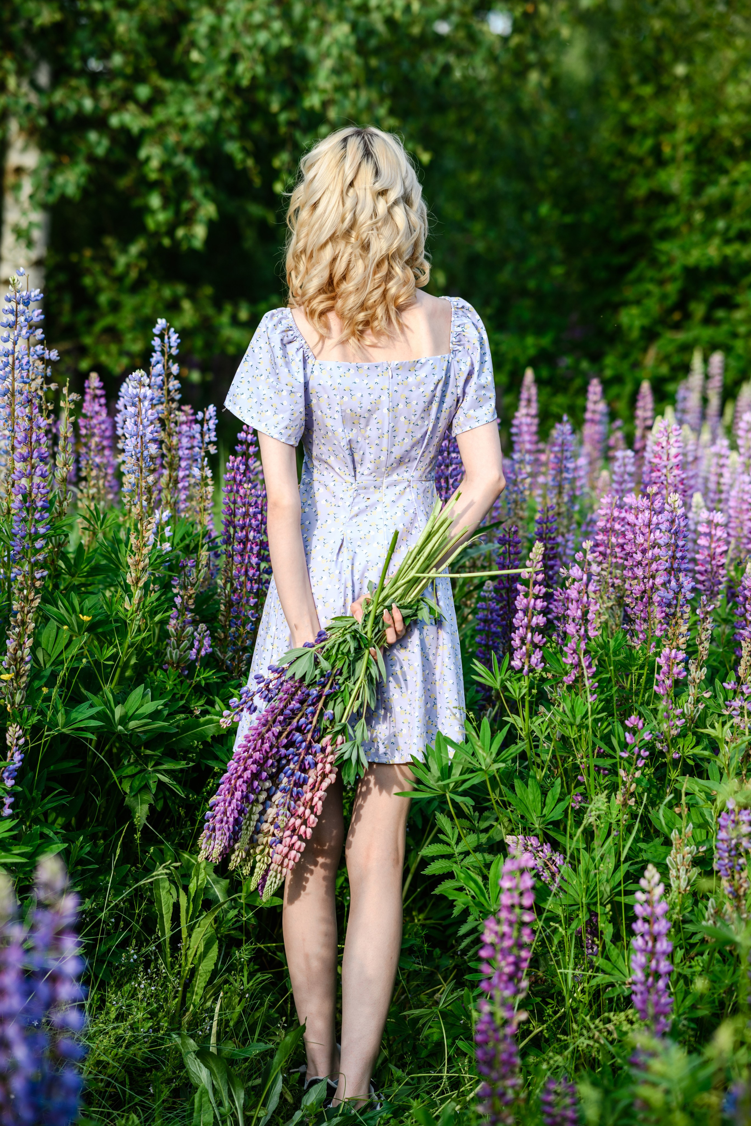 Владлена в люпинах. Свадебный и семейный фотограф в Дзержинске Екатерина Шулакова