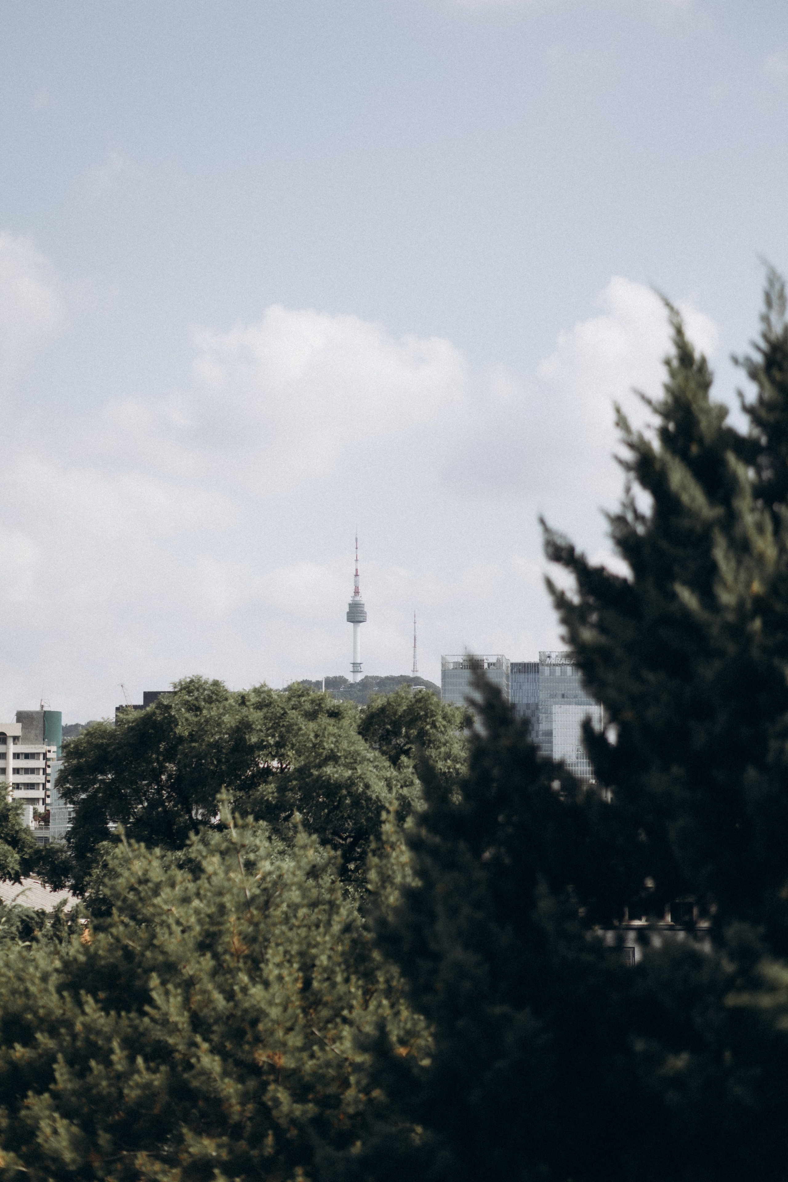 Фотосессия для Тани. Фотограф Артем Бросов в Санкт-Петербурге и Дубае