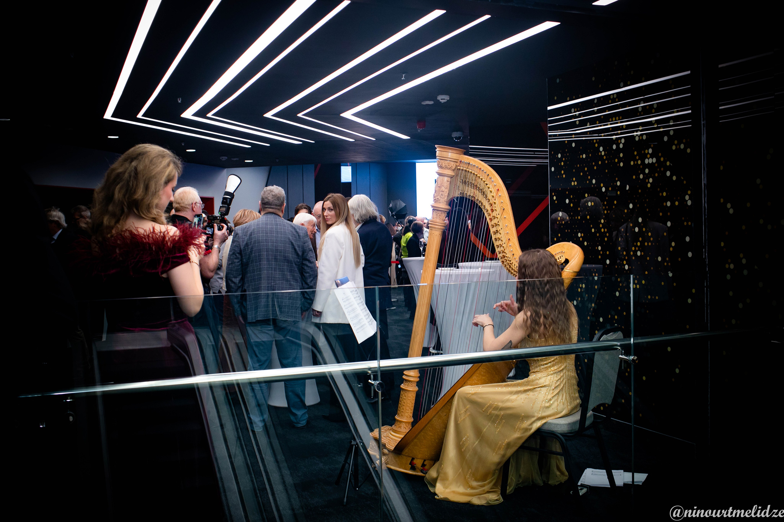 Гала ужин. Art photographer Nino