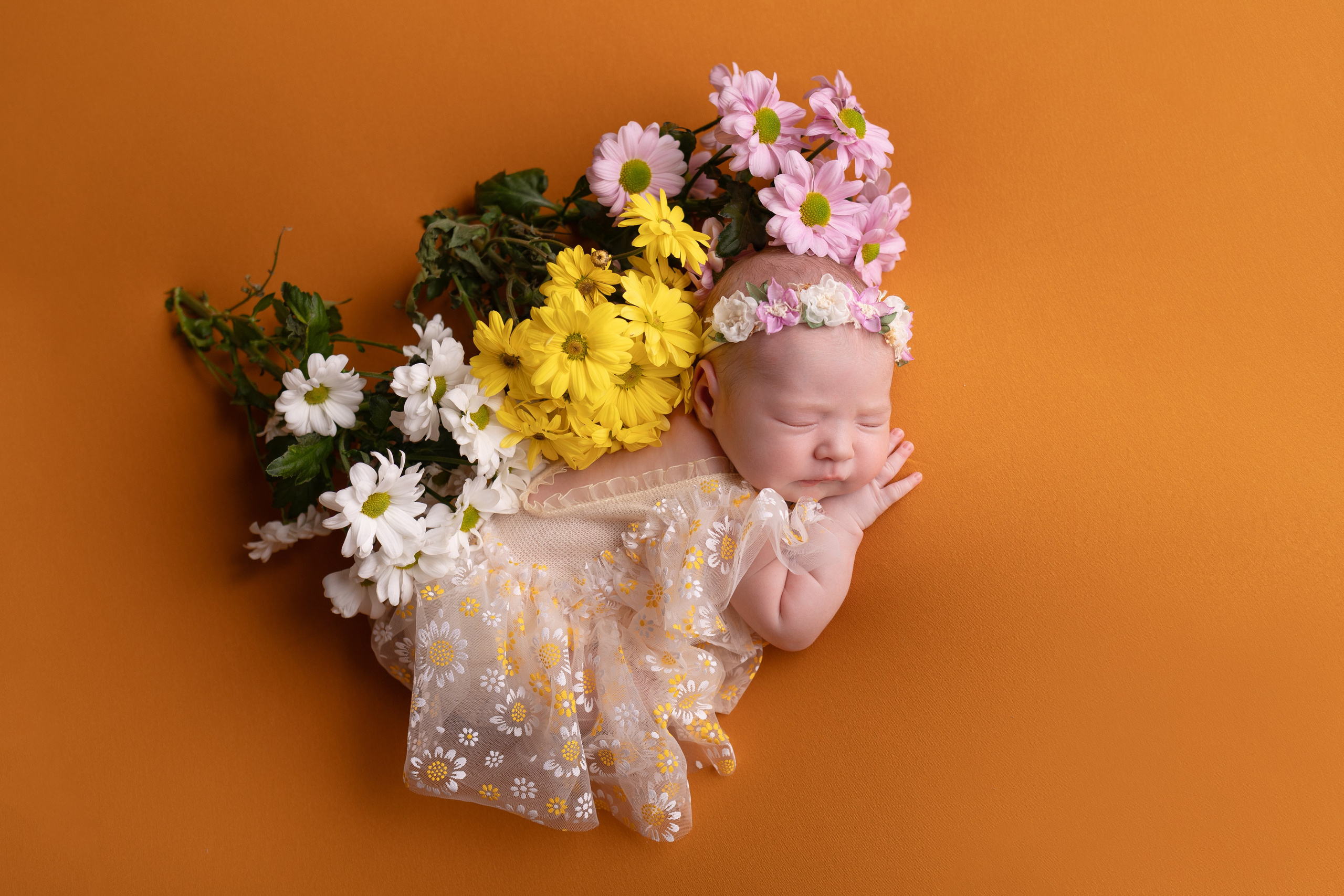 Newborn. Фотограф новорождённых в Самаре