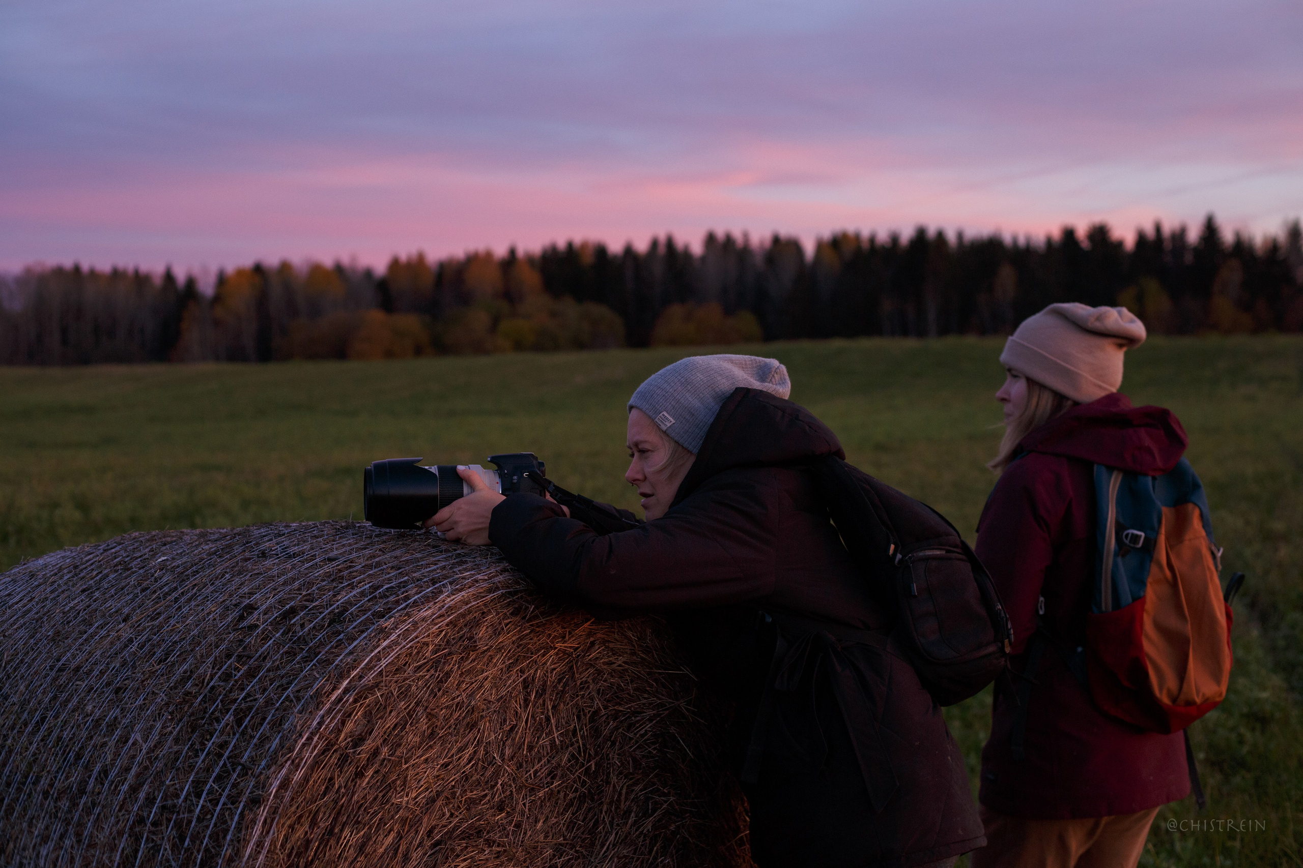 Октябрьский закат в полях. Алина и Лео. Фотограф-анималист Наталия Чистюхина в г. Сосновый Бор и ЛО