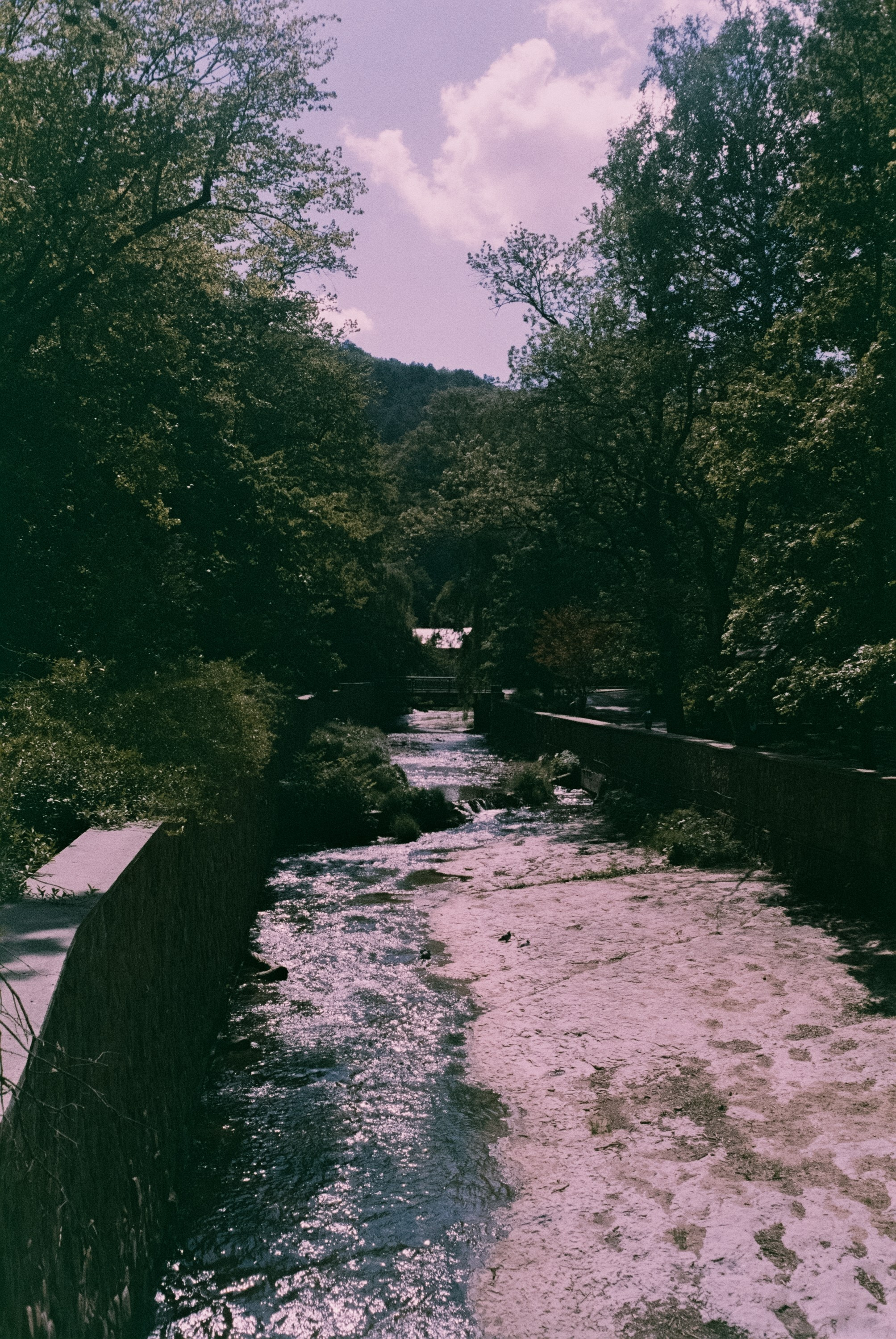 Кисловодск 11 мая / Fujicolor Superia 200 (просрочка) / Minox 35GT