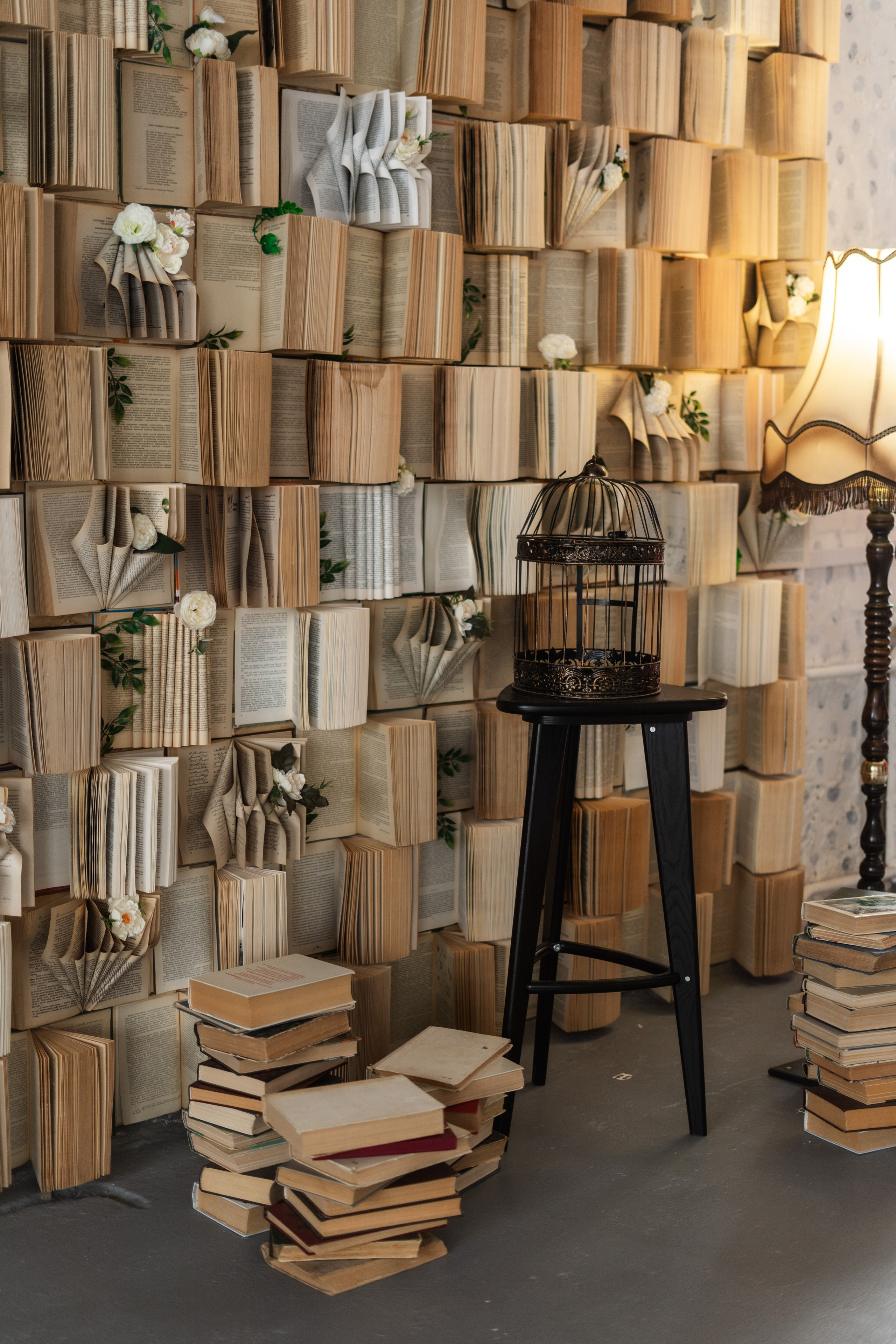 зал Дзен фотостудия «Импульс» Саратов  книжная зона