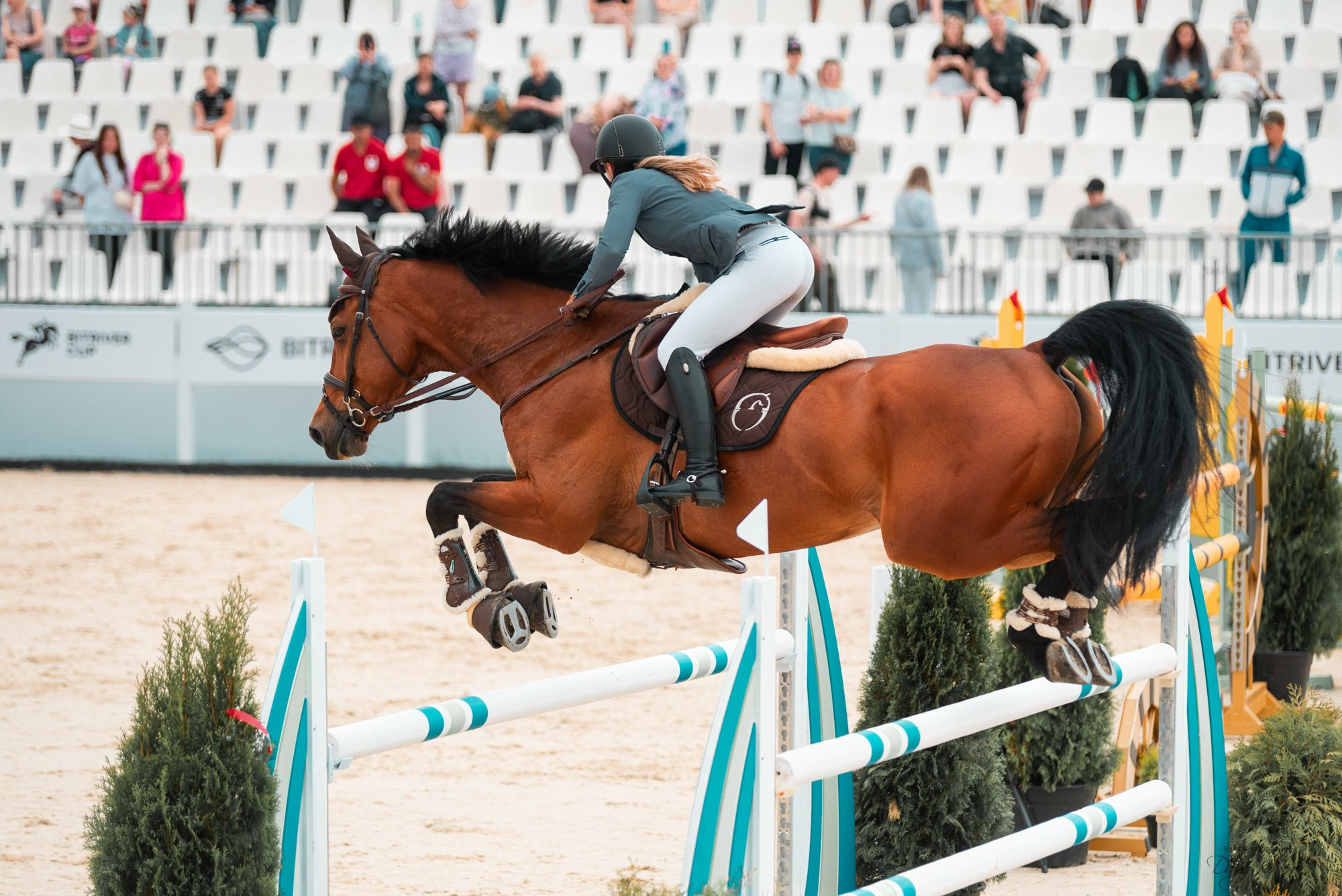 BITRIVER CUP 2023. Конный фотограф Куракина Дарья • Фотосессии с лошадьми