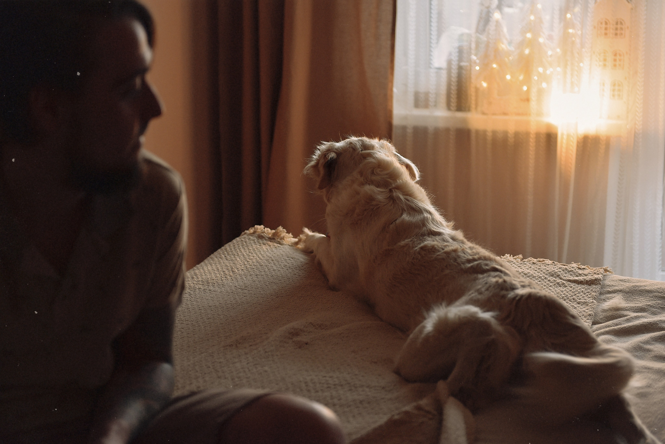 МАРГО, САША и ШАНТИ | скоро нас станет больше. Свадебный и семейный фотограф РИТА БОЧКАРЁВА