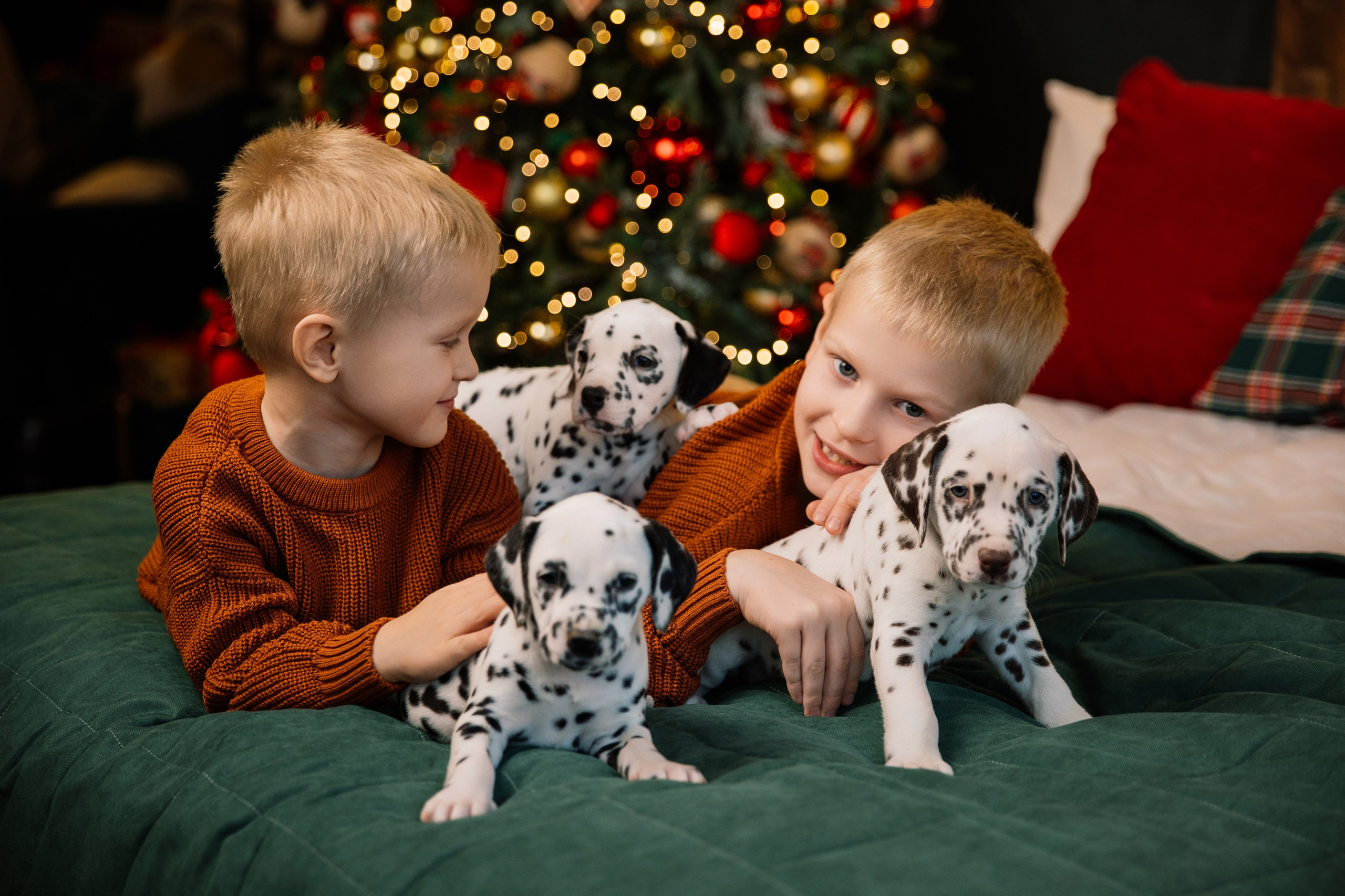 Саша и Рома. Семейный фотограф Толстикова Кристина