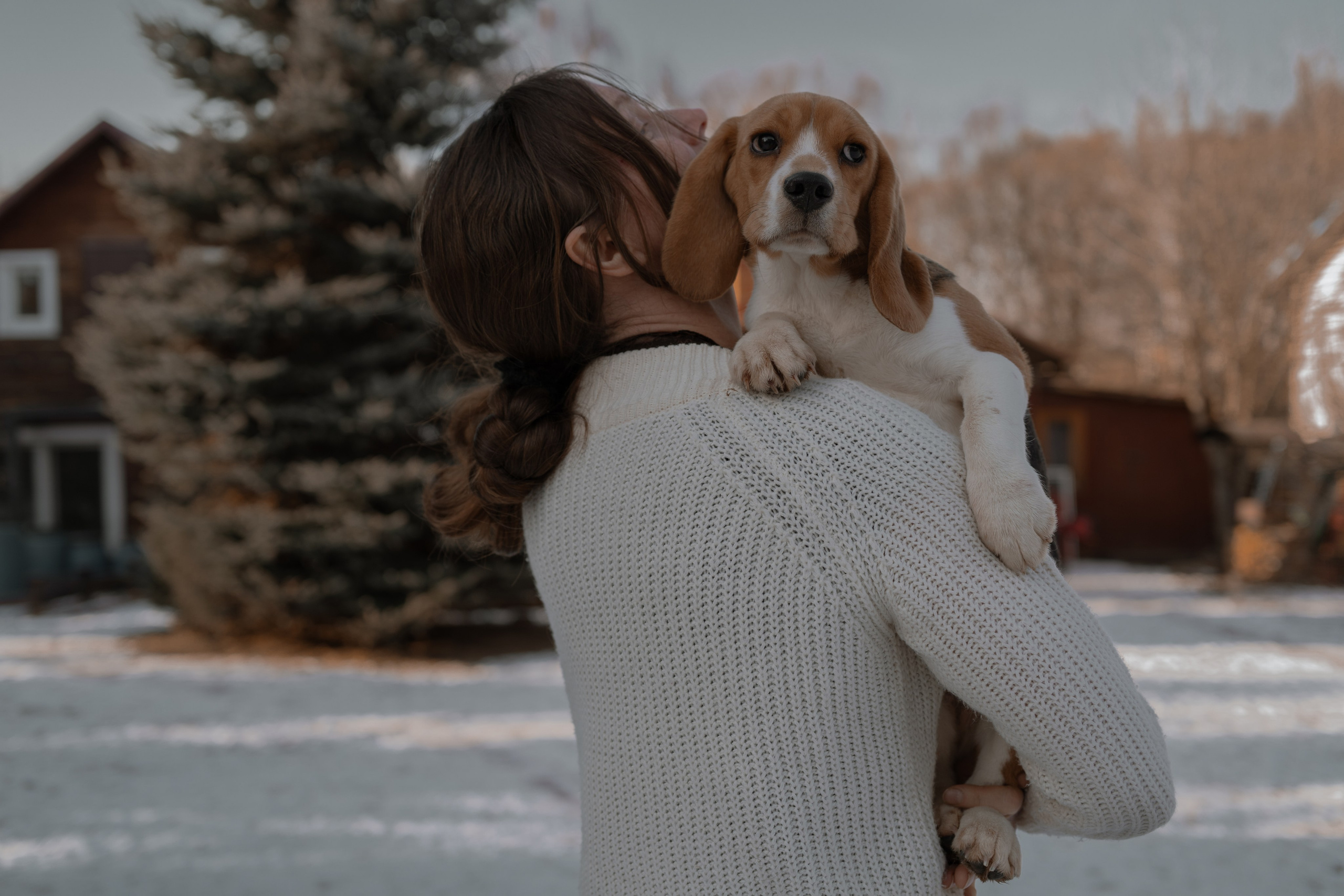 Маша, бигль Вера и её ферма. Семейный фотограф в Москве Алёна Чача