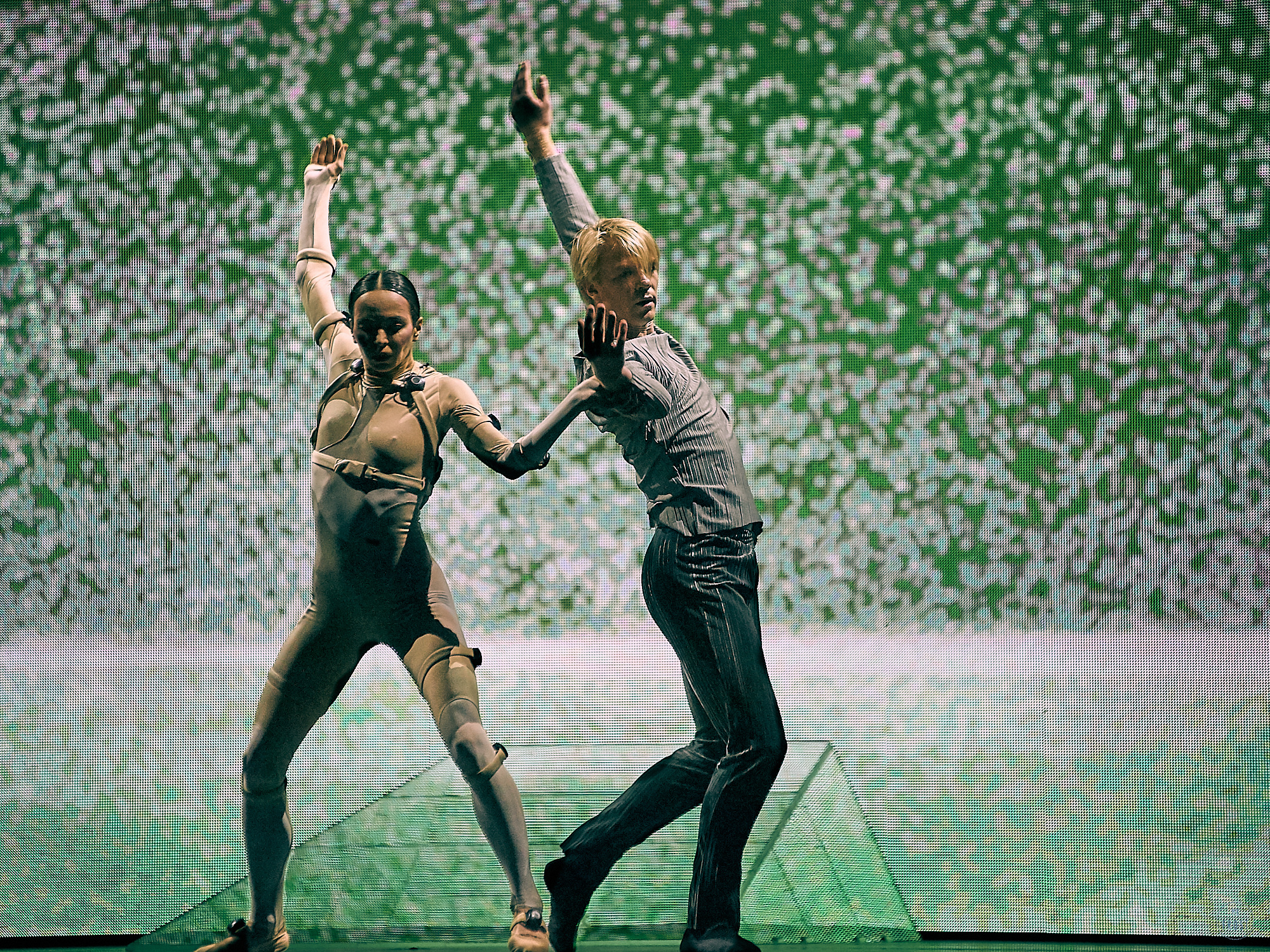 Sleeping Beauty Dreams. Фотографии отовсюду и обо всем