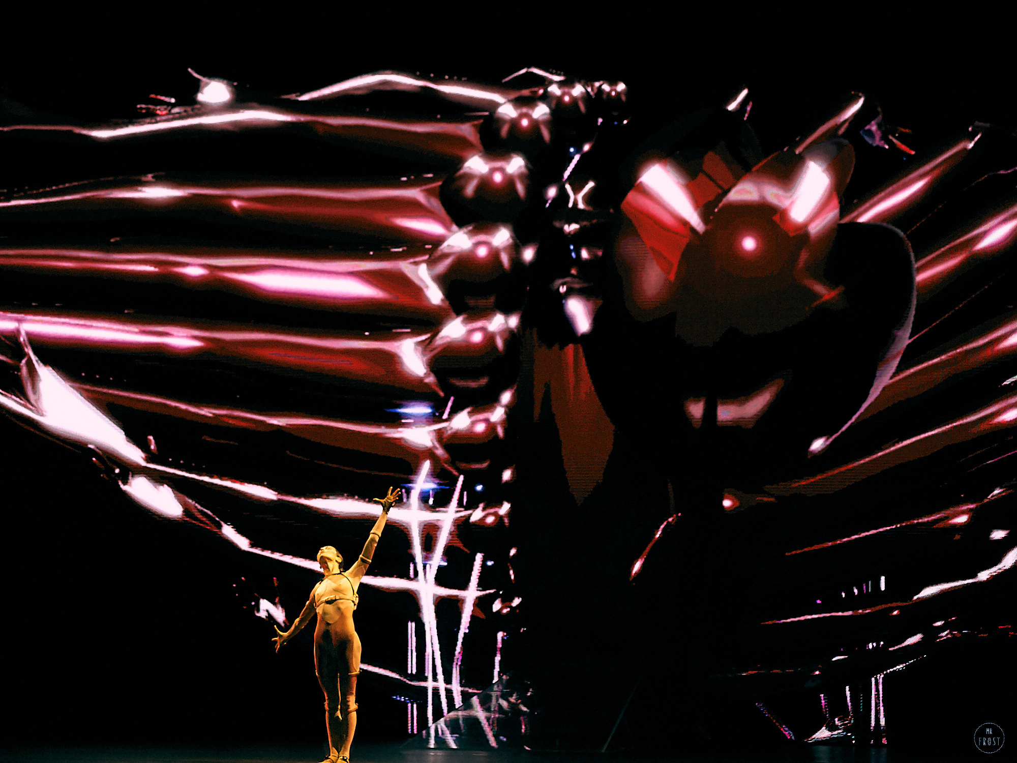 Sleeping Beauty Dreams. Фотографии отовсюду и обо всем