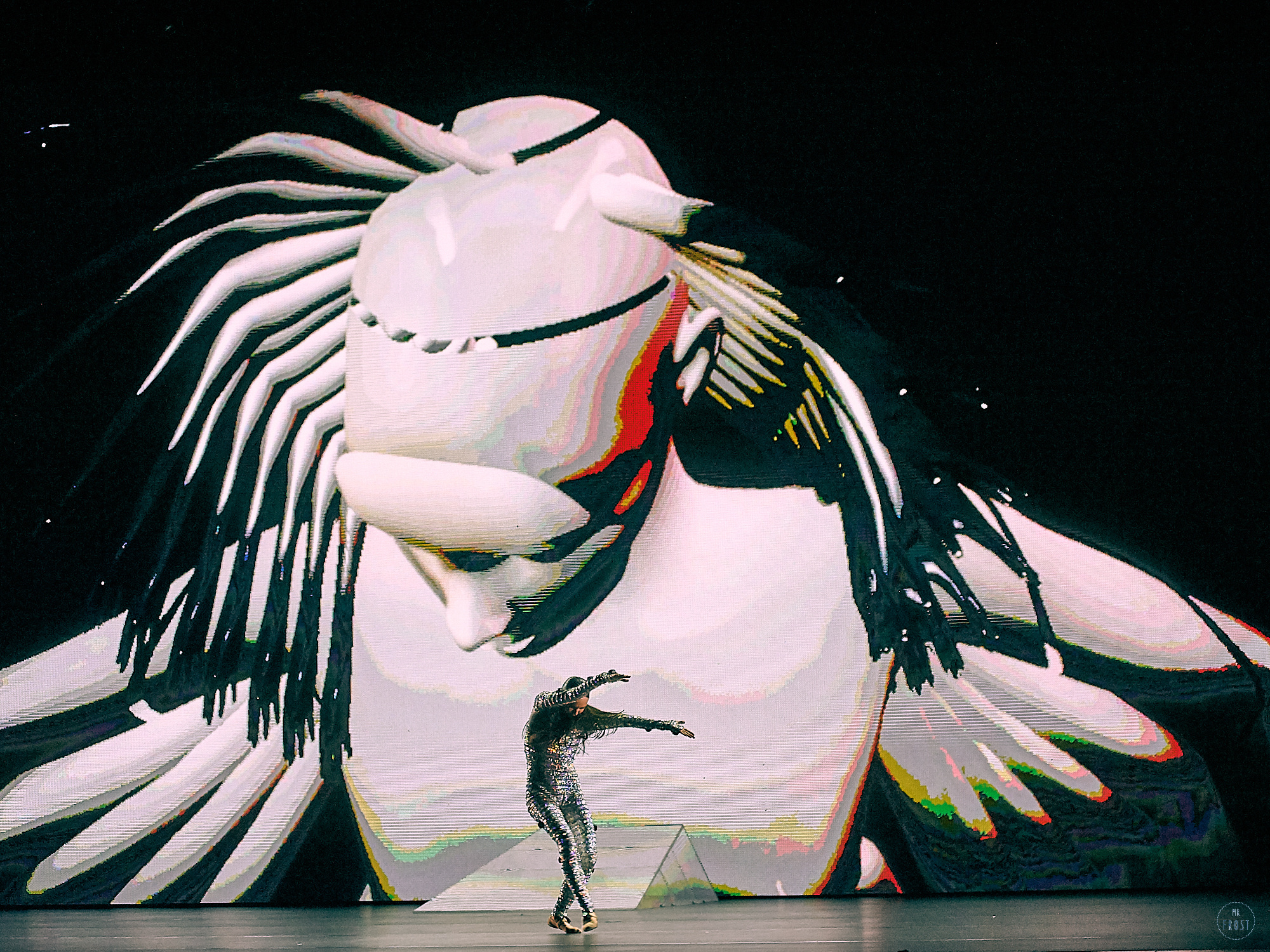 Sleeping Beauty Dreams. Фотографии отовсюду и обо всем