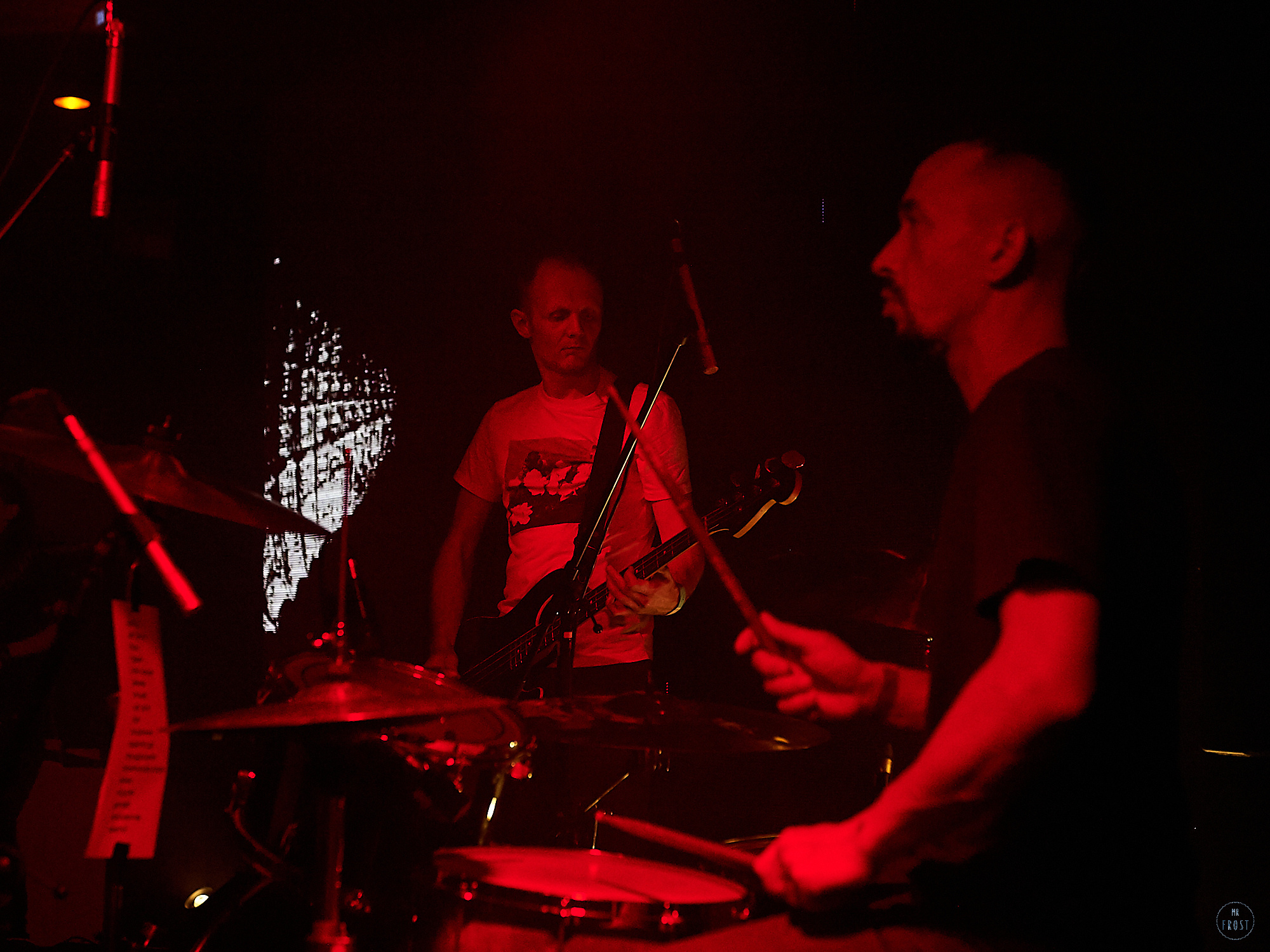 Курара. Фотографии отовсюду и обо всем