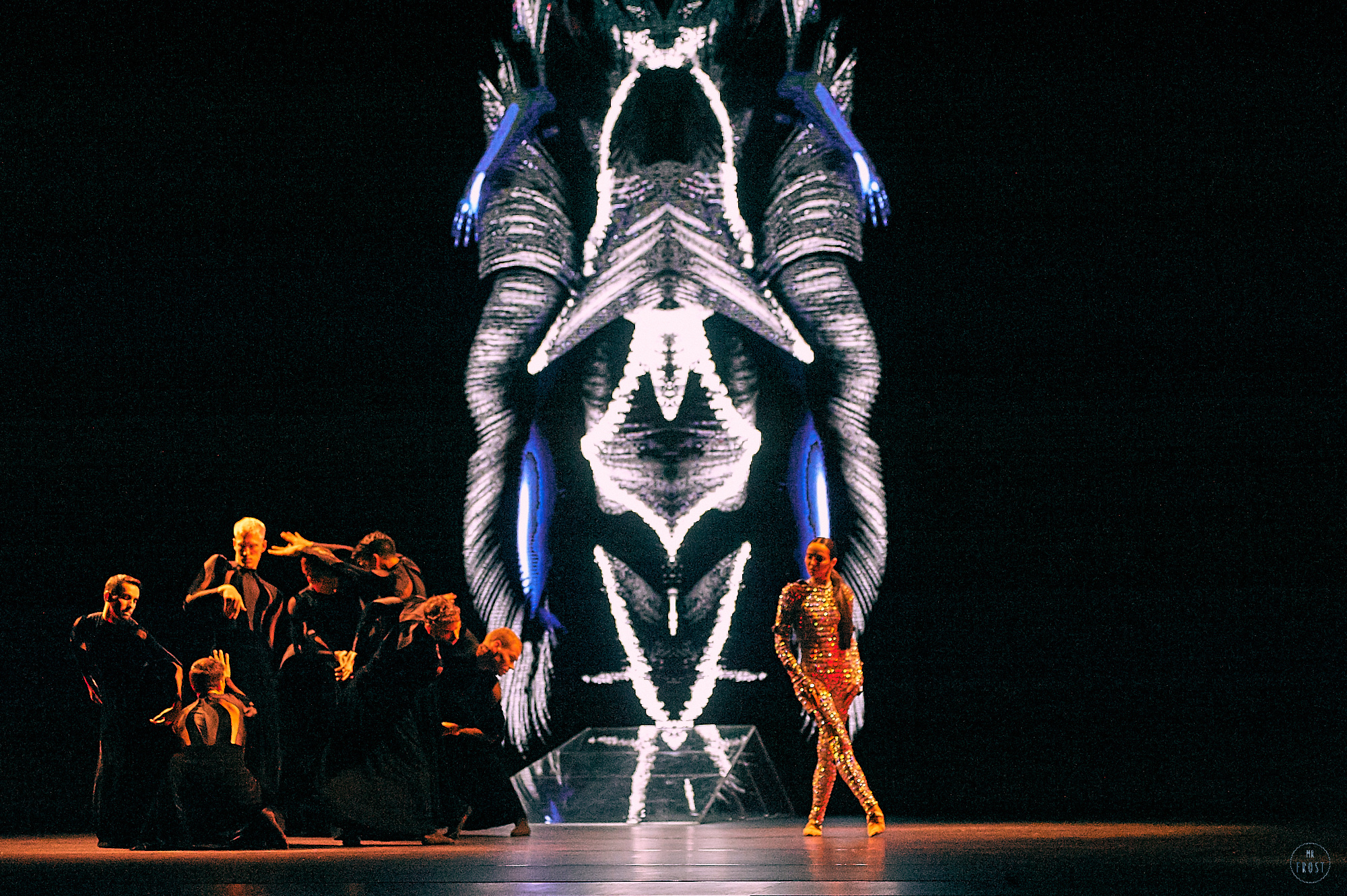 Sleeping Beauty Dreams. Фотографии отовсюду и обо всем