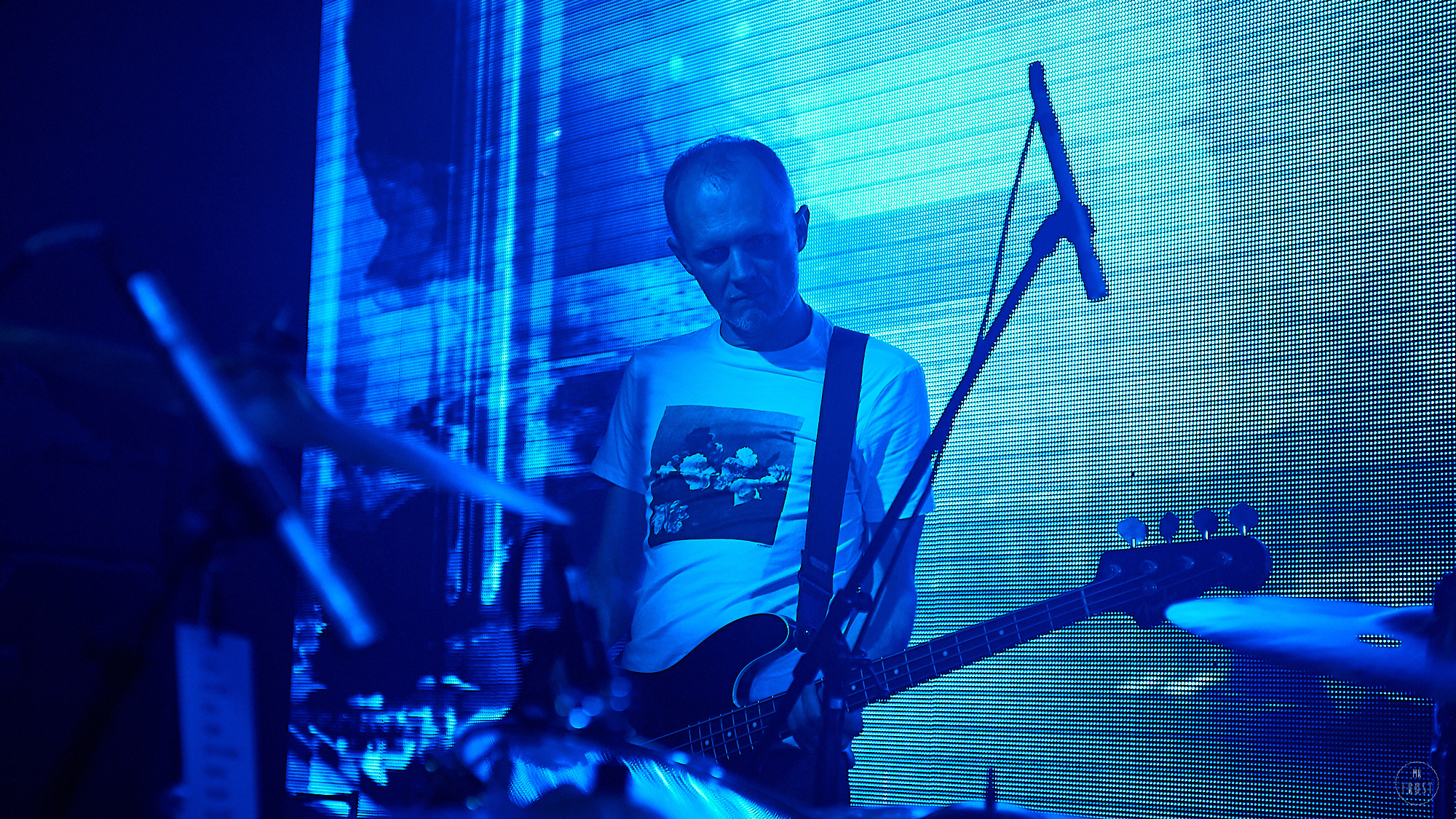 Курара. Фотографии отовсюду и обо всем