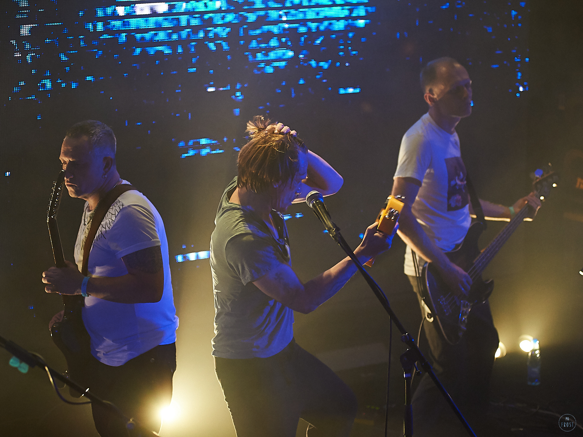 Курара. Фотографии отовсюду и обо всем