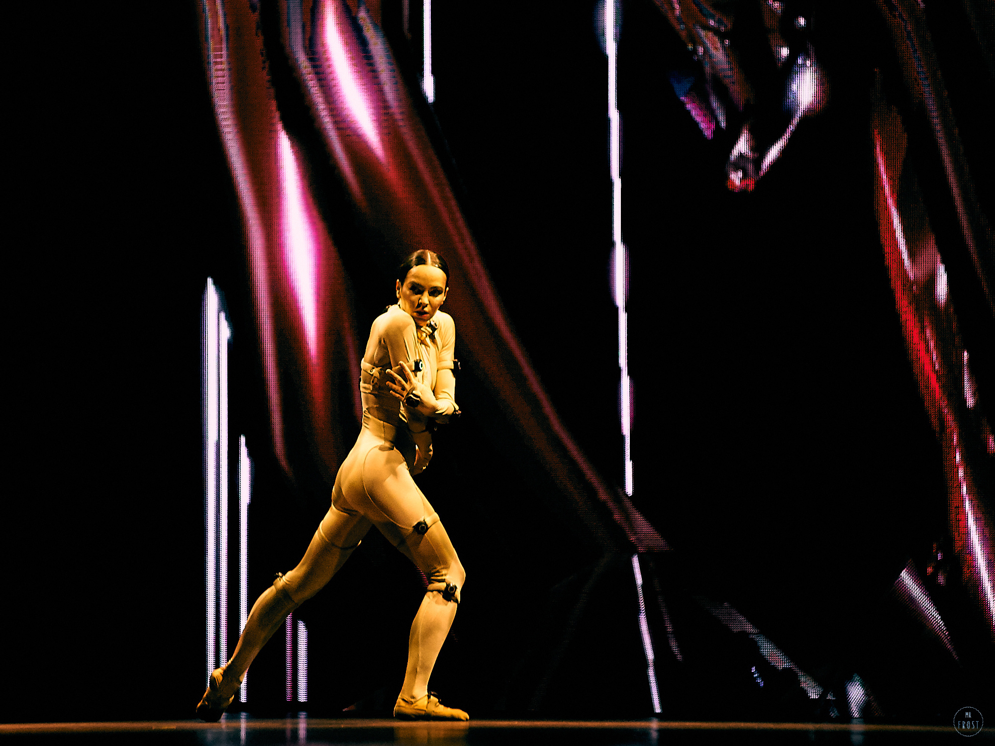 Sleeping Beauty Dreams. Фотографии отовсюду и обо всем