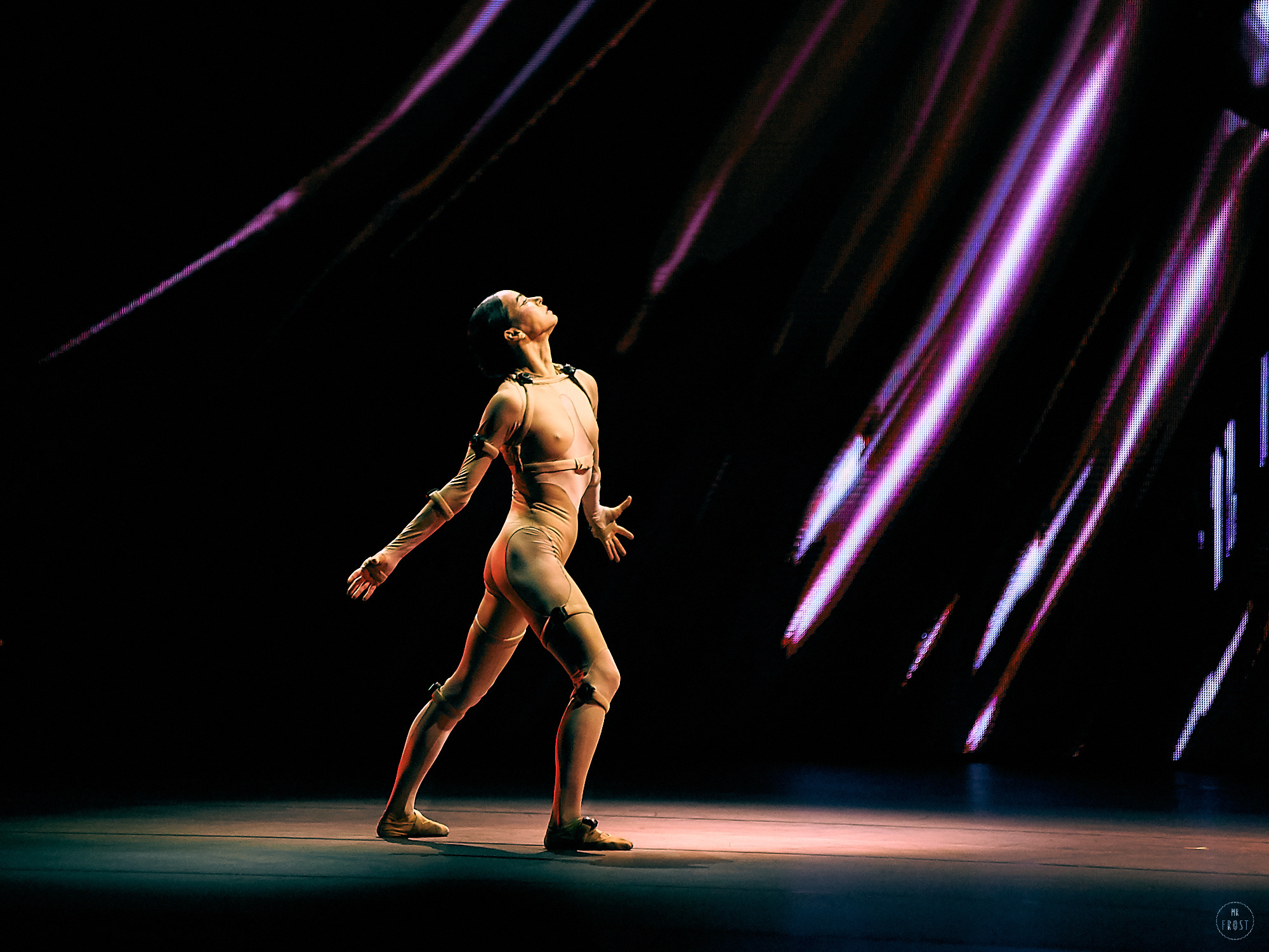 Sleeping Beauty Dreams. Фотографии отовсюду и обо всем