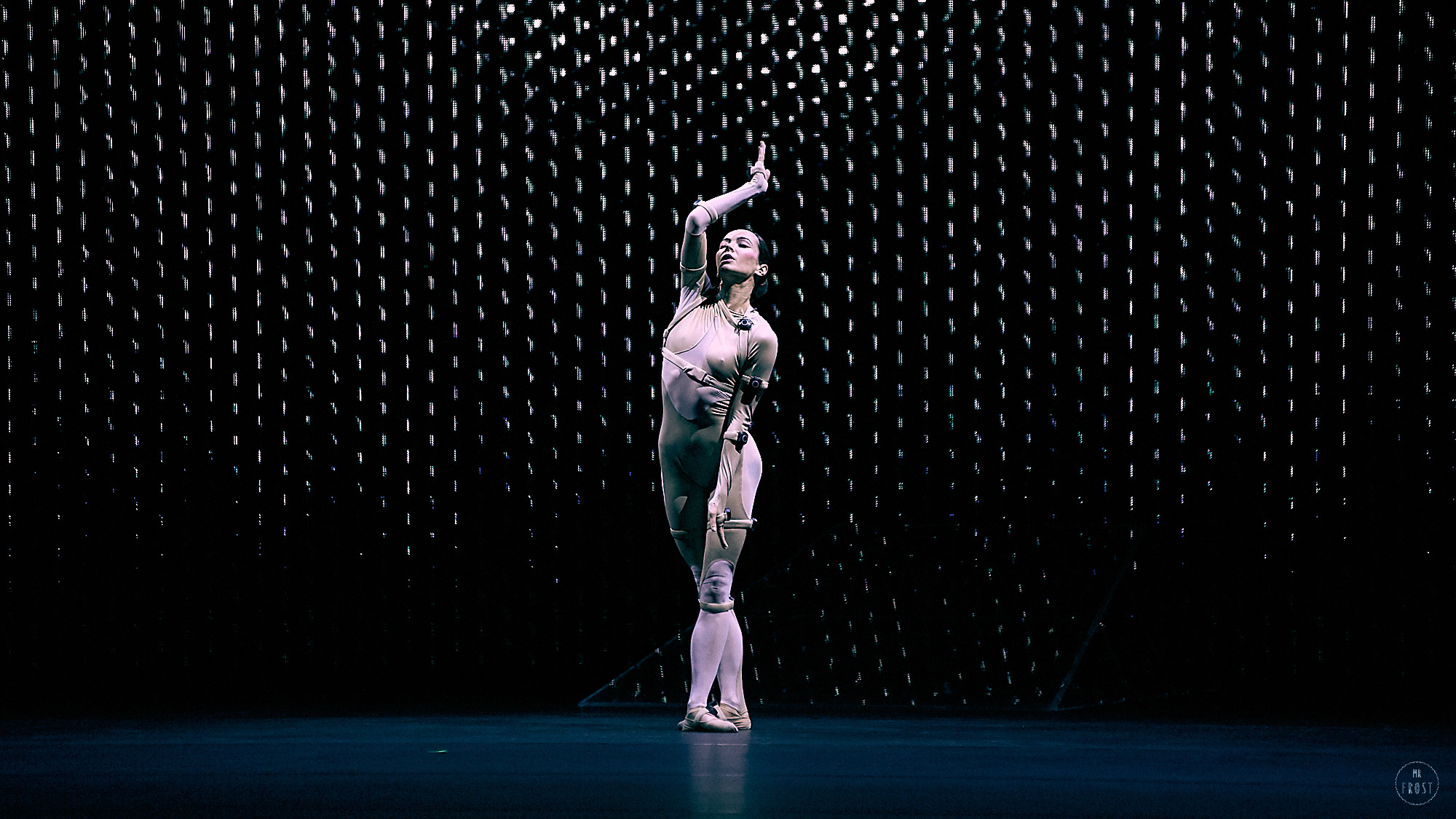 Sleeping Beauty Dreams. Фотографии отовсюду и обо всем