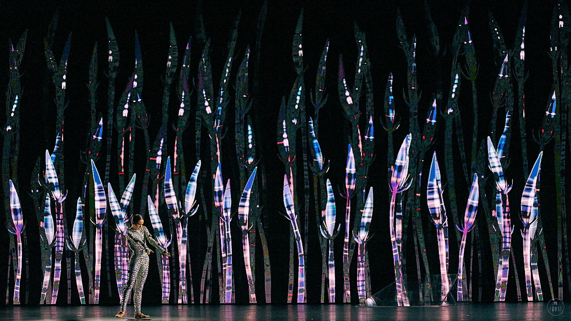 Sleeping Beauty Dreams. Фотографии отовсюду и обо всем