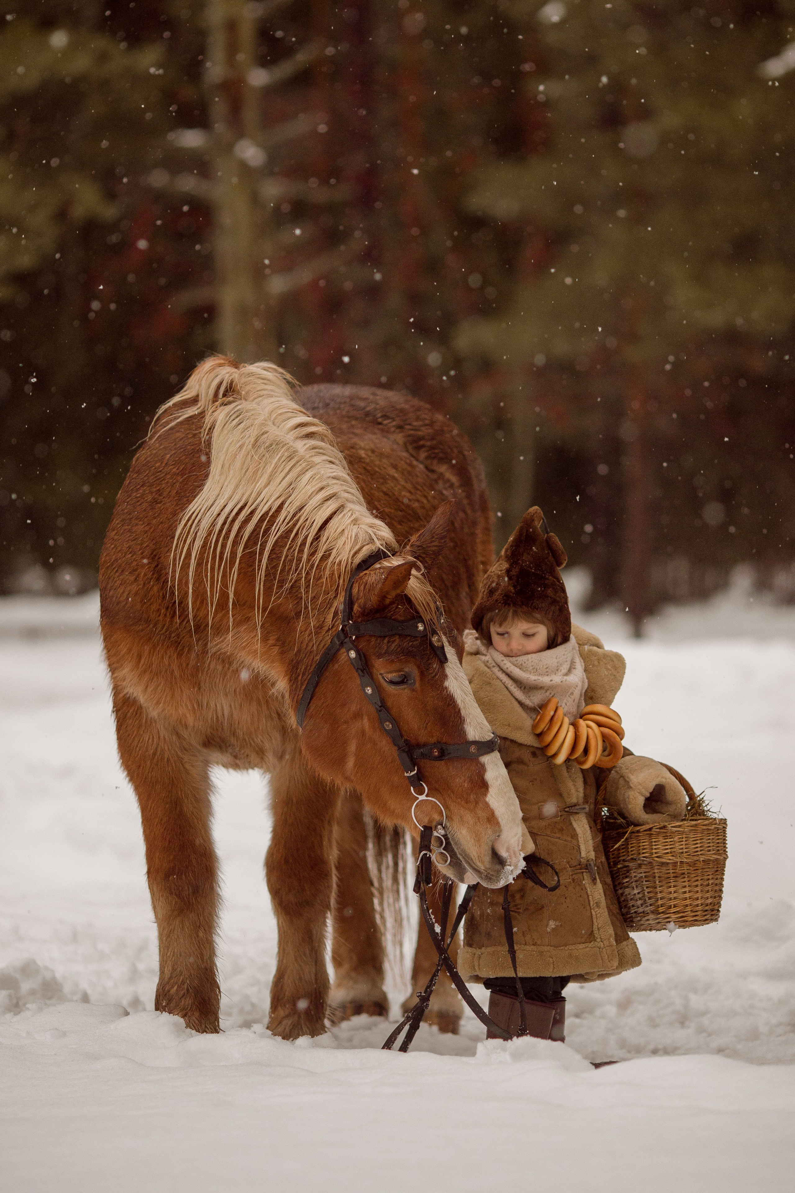 Фото мальчика и лошади зимой