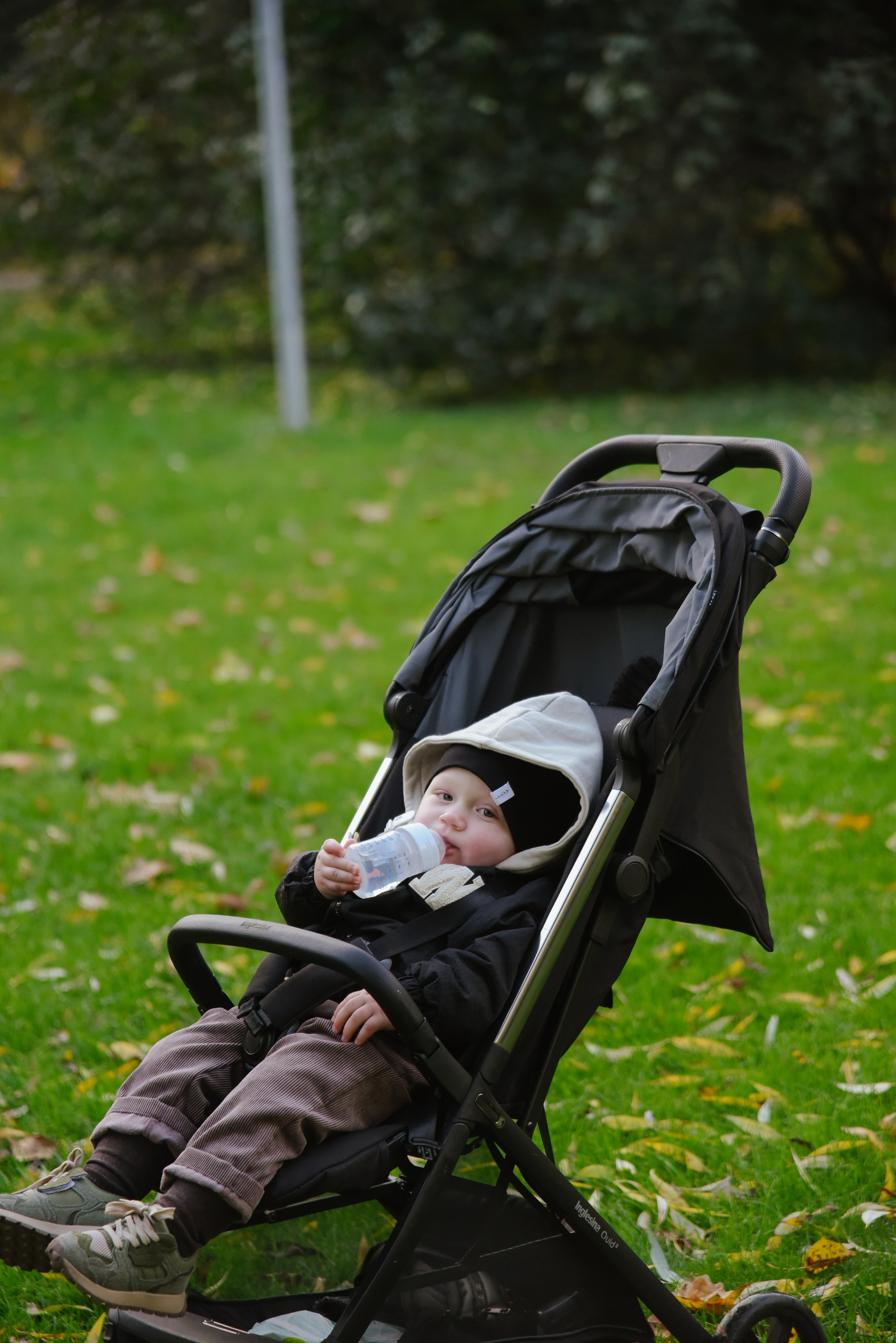 Осенняя. Фотограф Лола Волна, город Москва