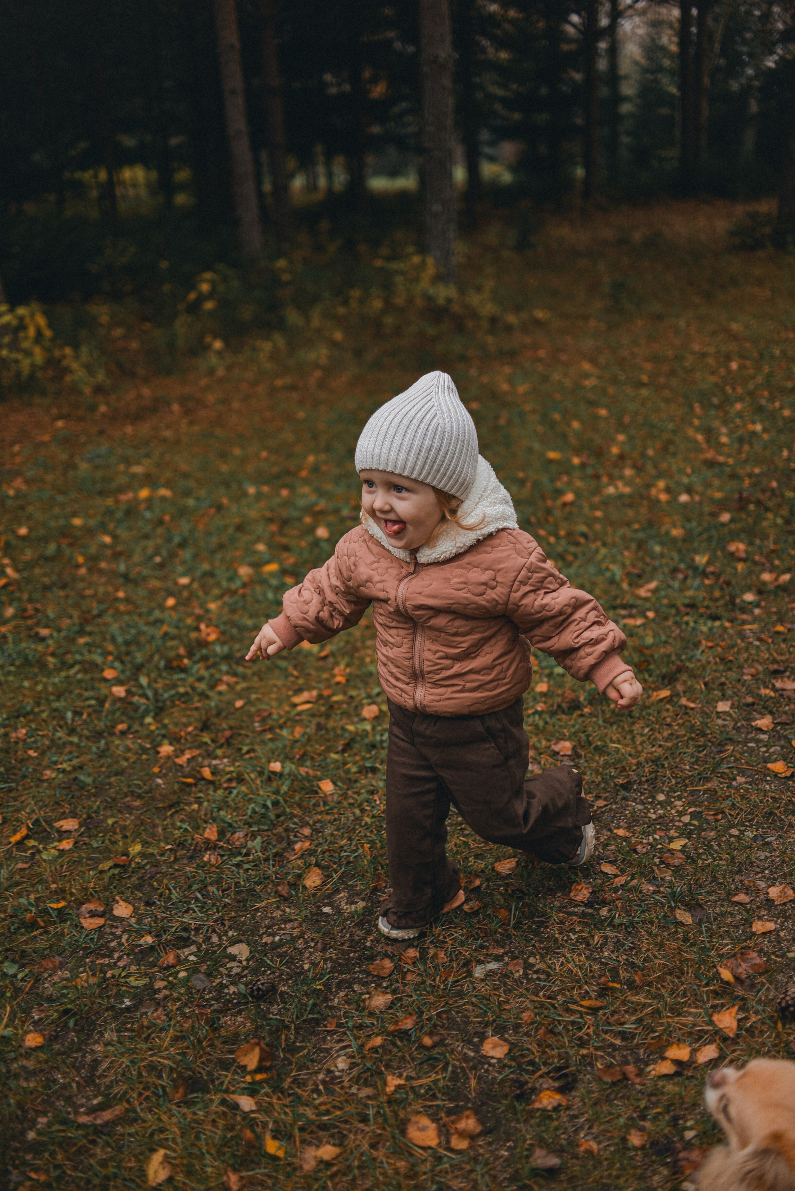 Family. Семейный фотограф Milena feel it