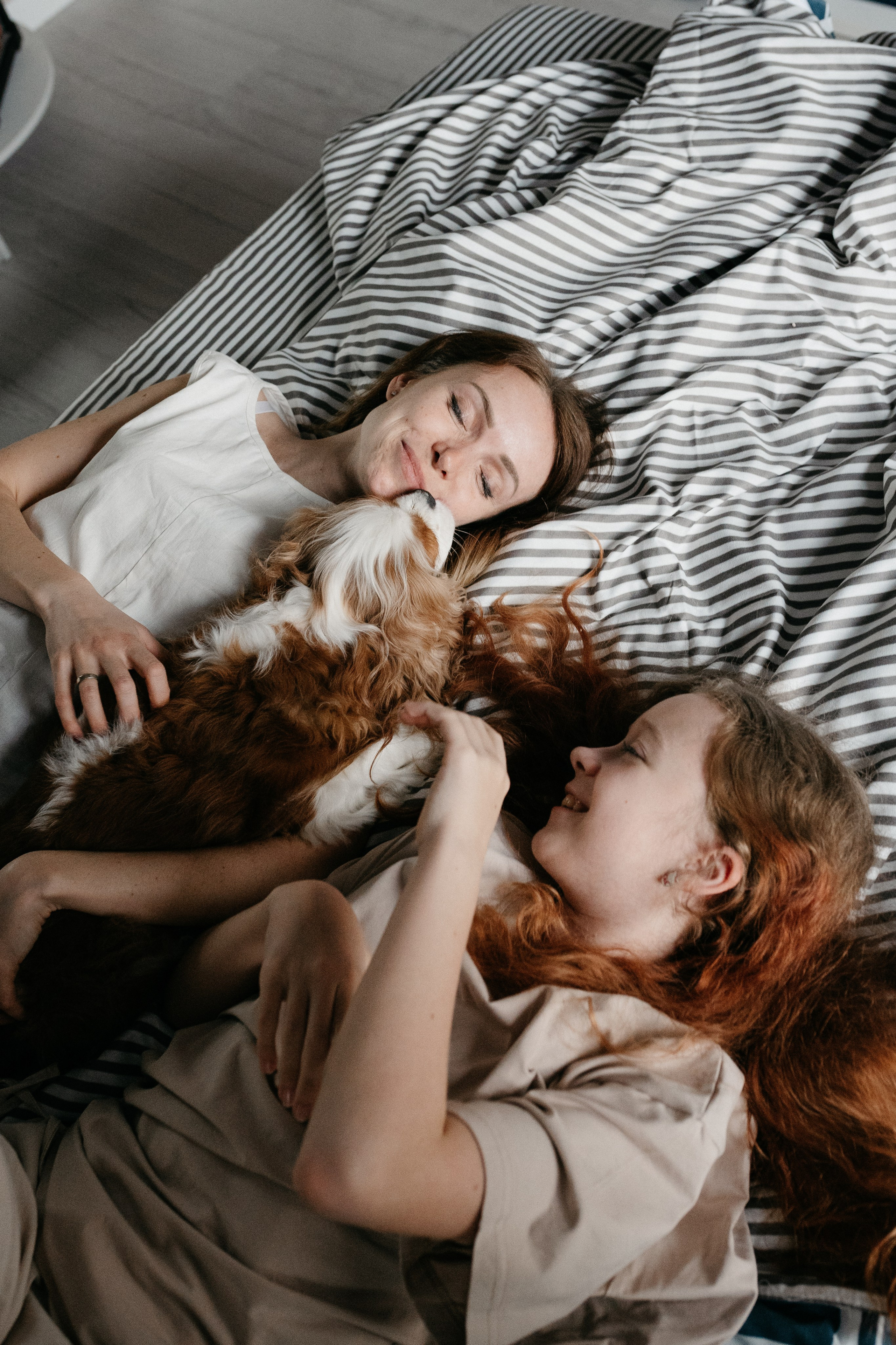 Даша, Диана, Дебби и маленькая крыска. Фотограф анималист в Москве Ольга Агушева