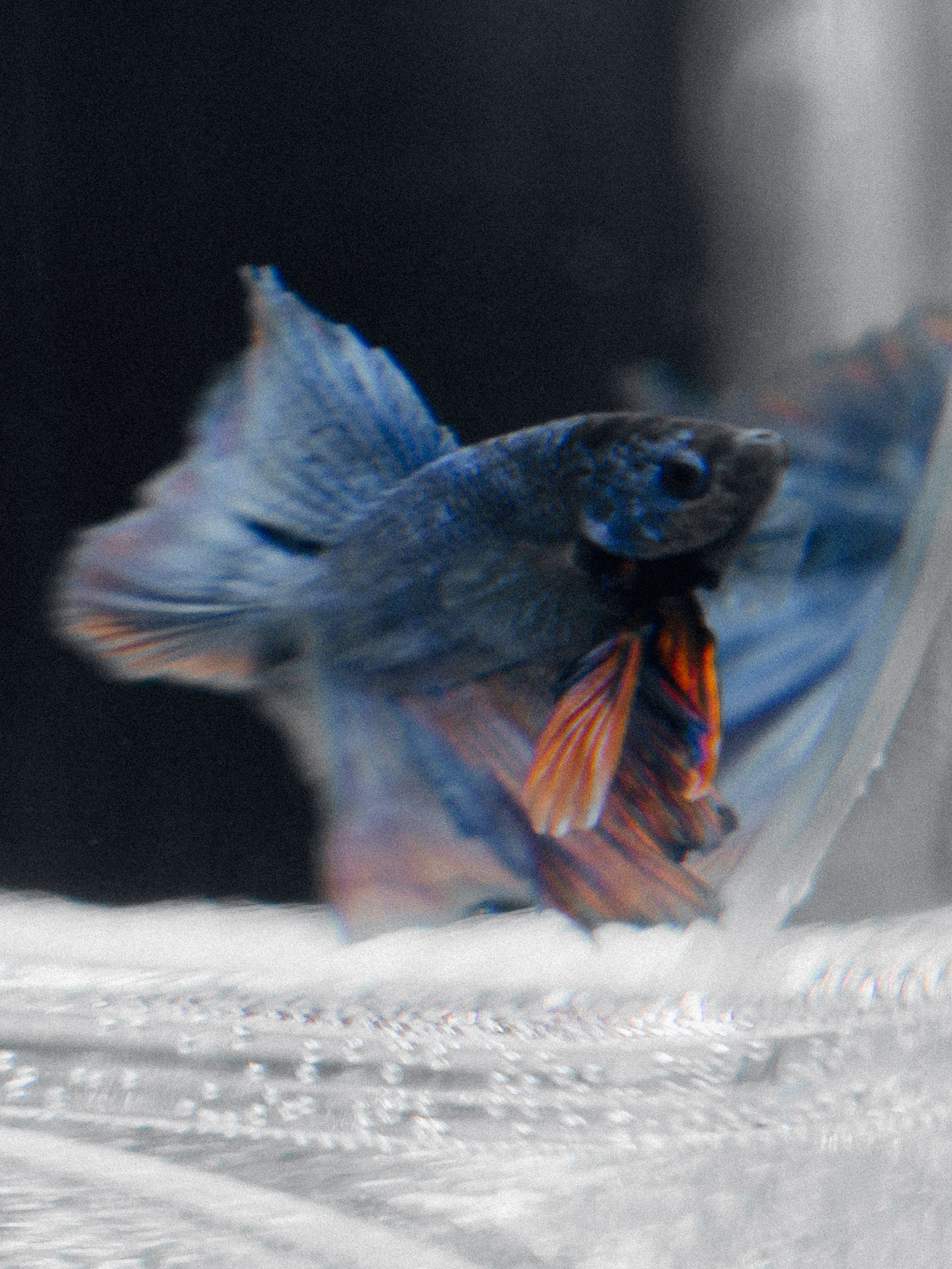 ПОЛИНА И ГЛЕБ, ПАРК СИТИ. Свадебный и индивидуальный фотограф в Челябинске Евгения Негодяева