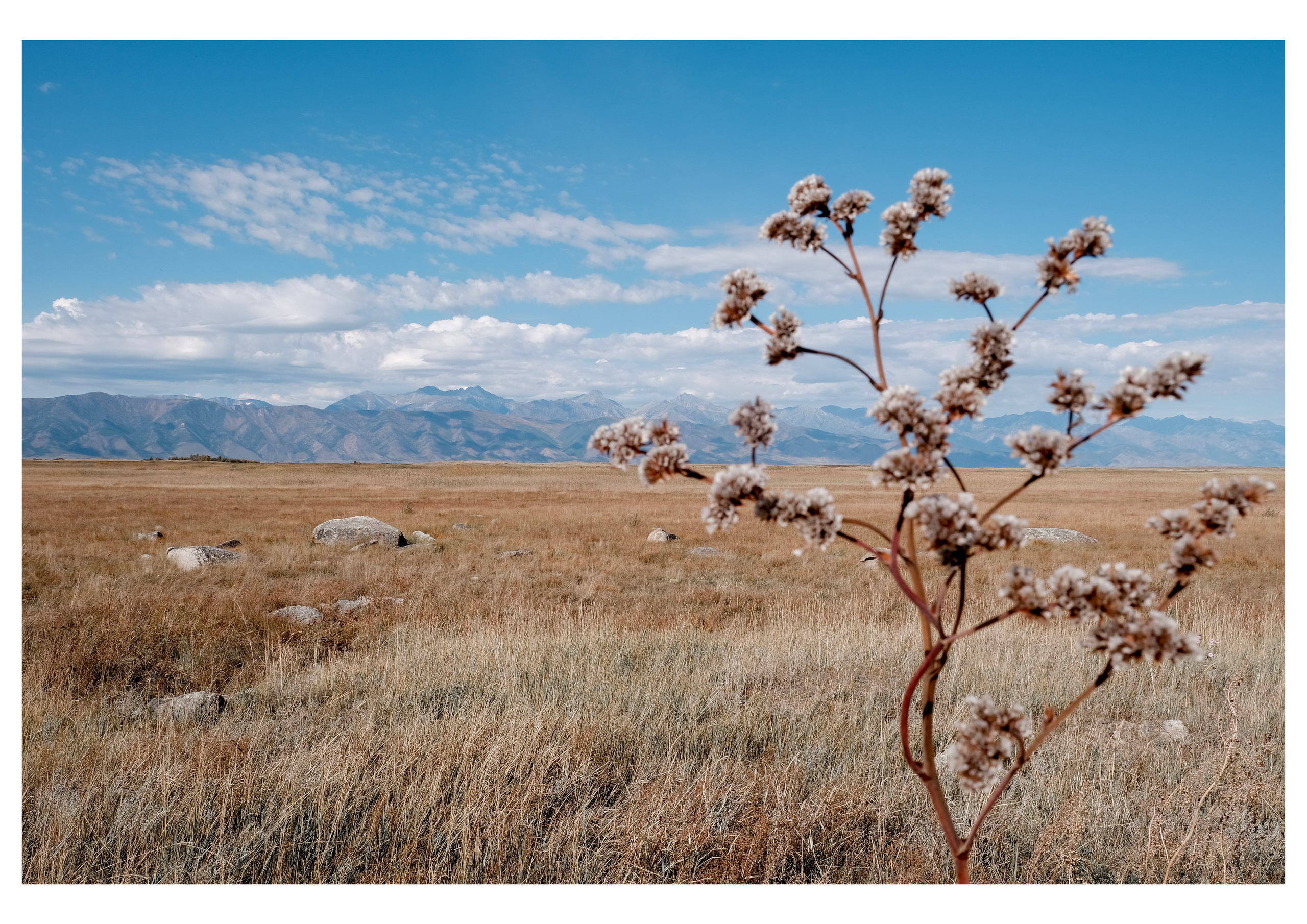 ПЕЙЗАЖИ. Фотограф Чита | Иркутск | Новосибирск