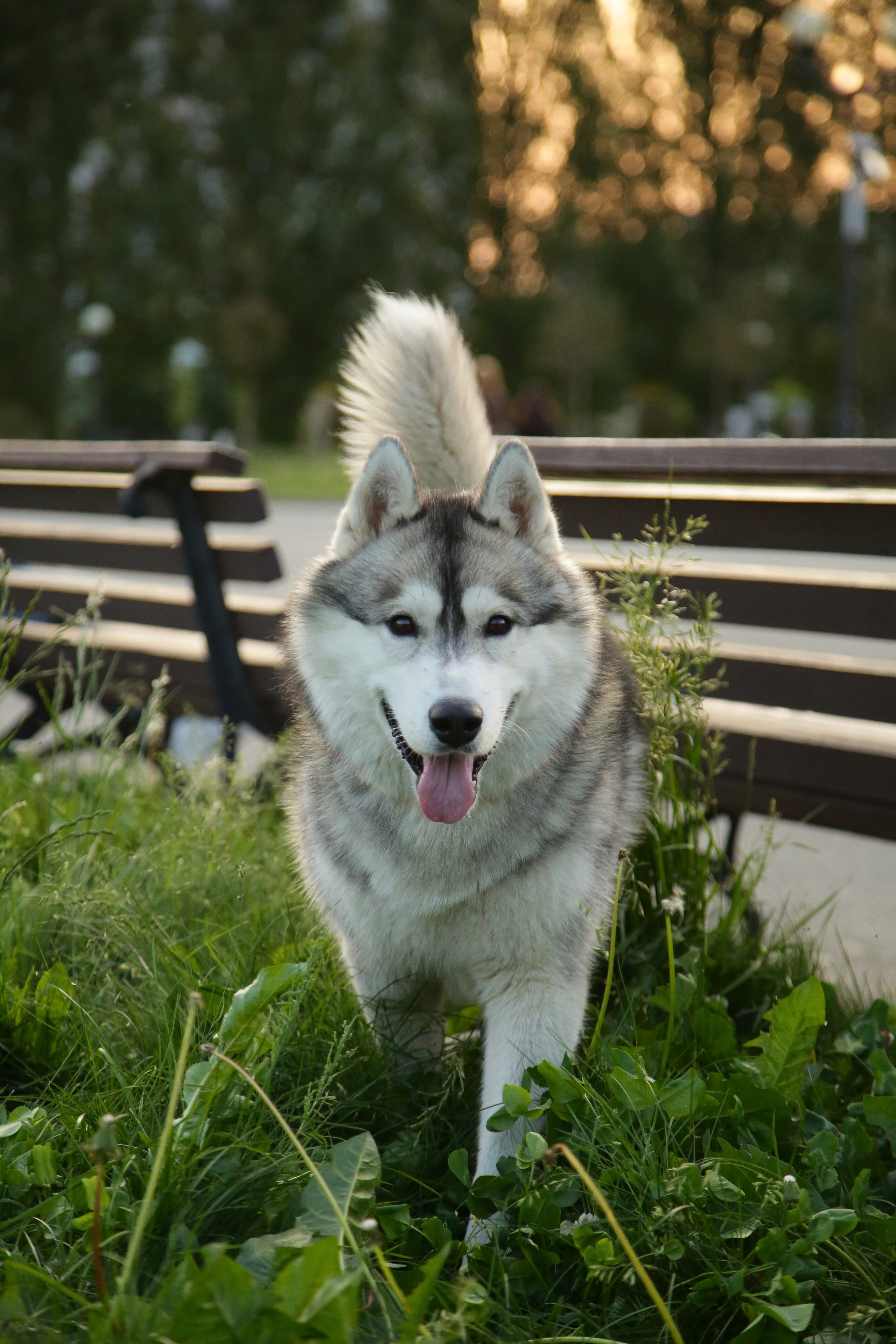 Индивидуальные съемки. Фото G