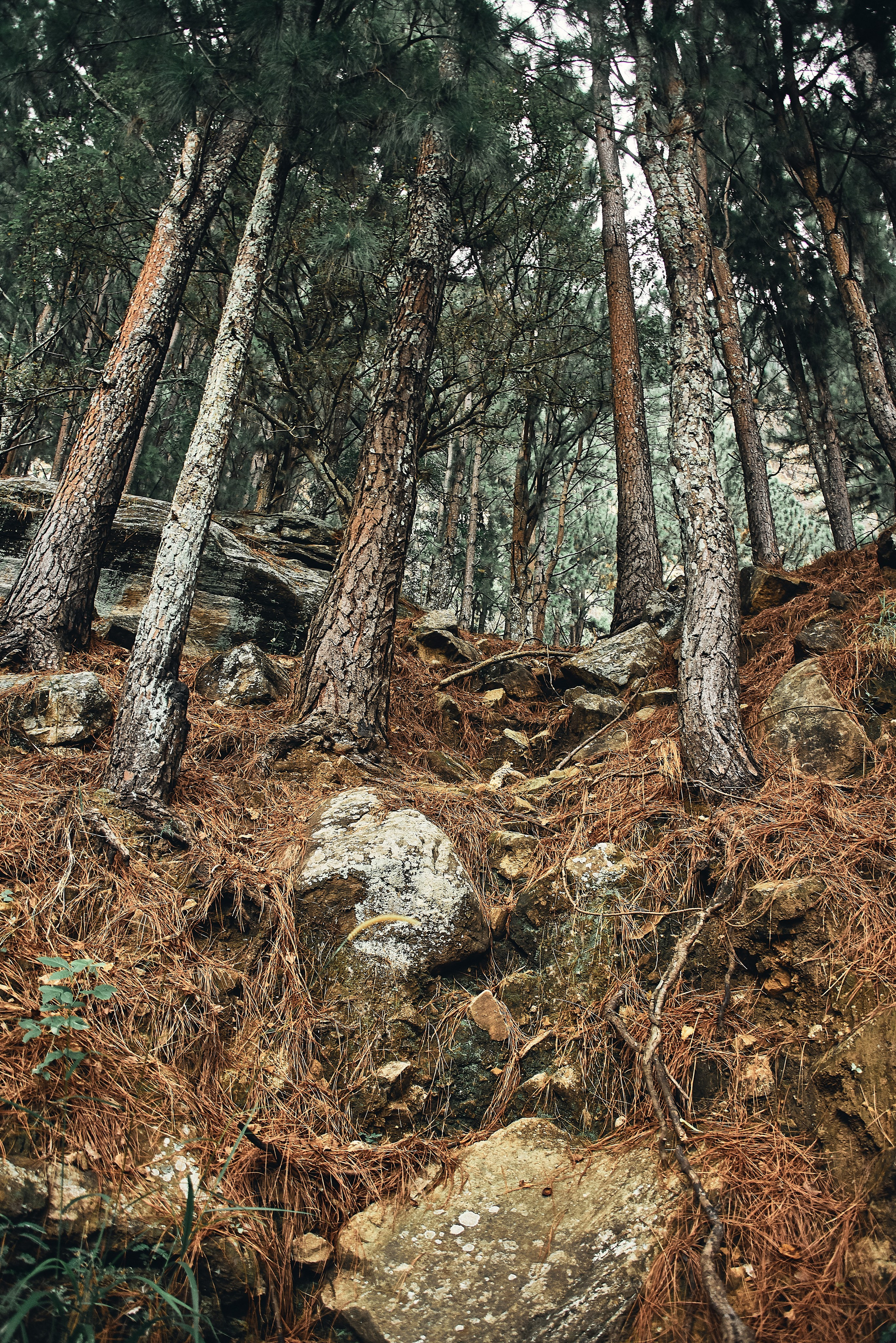 Moto Trip 23-05-19. Никита Хохловский фото и видео продакшн