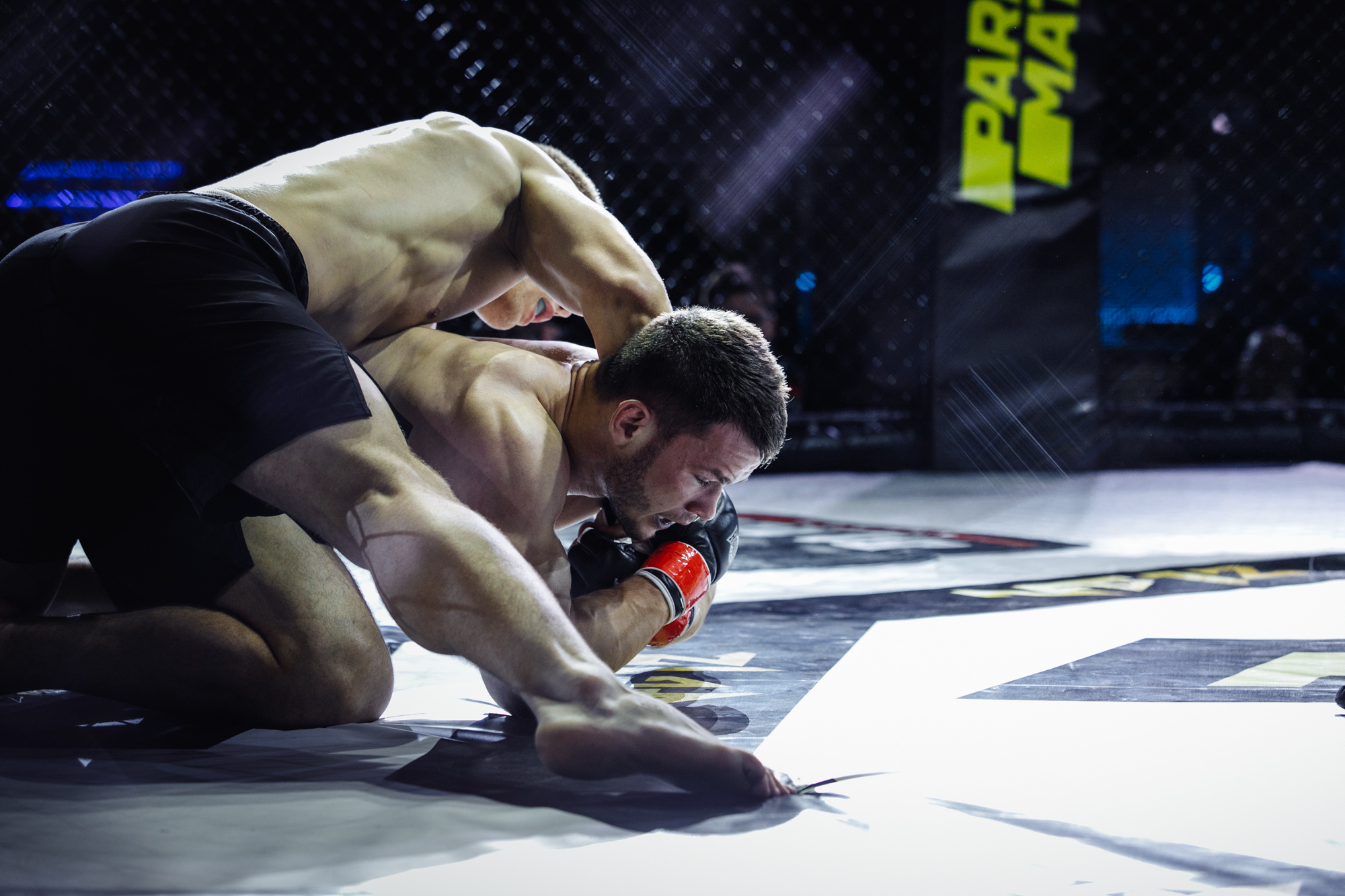 NFG 12. Репортажный фотограф Александр Задорин, Минск, Беларусь