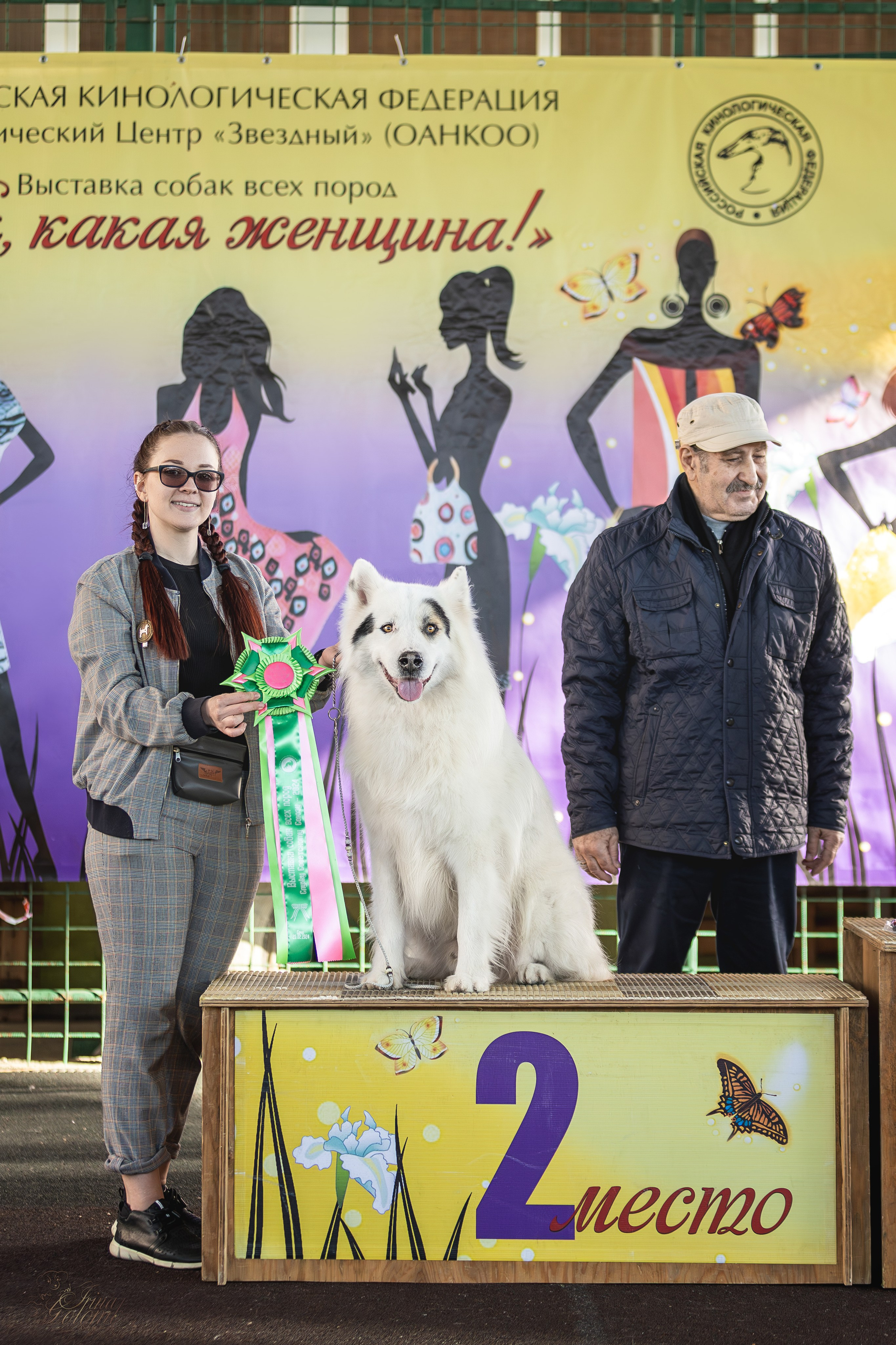 Выставка 25.02.2024. Ирина Голомб|Фотограф-анималист в  Сочи и Калининграде