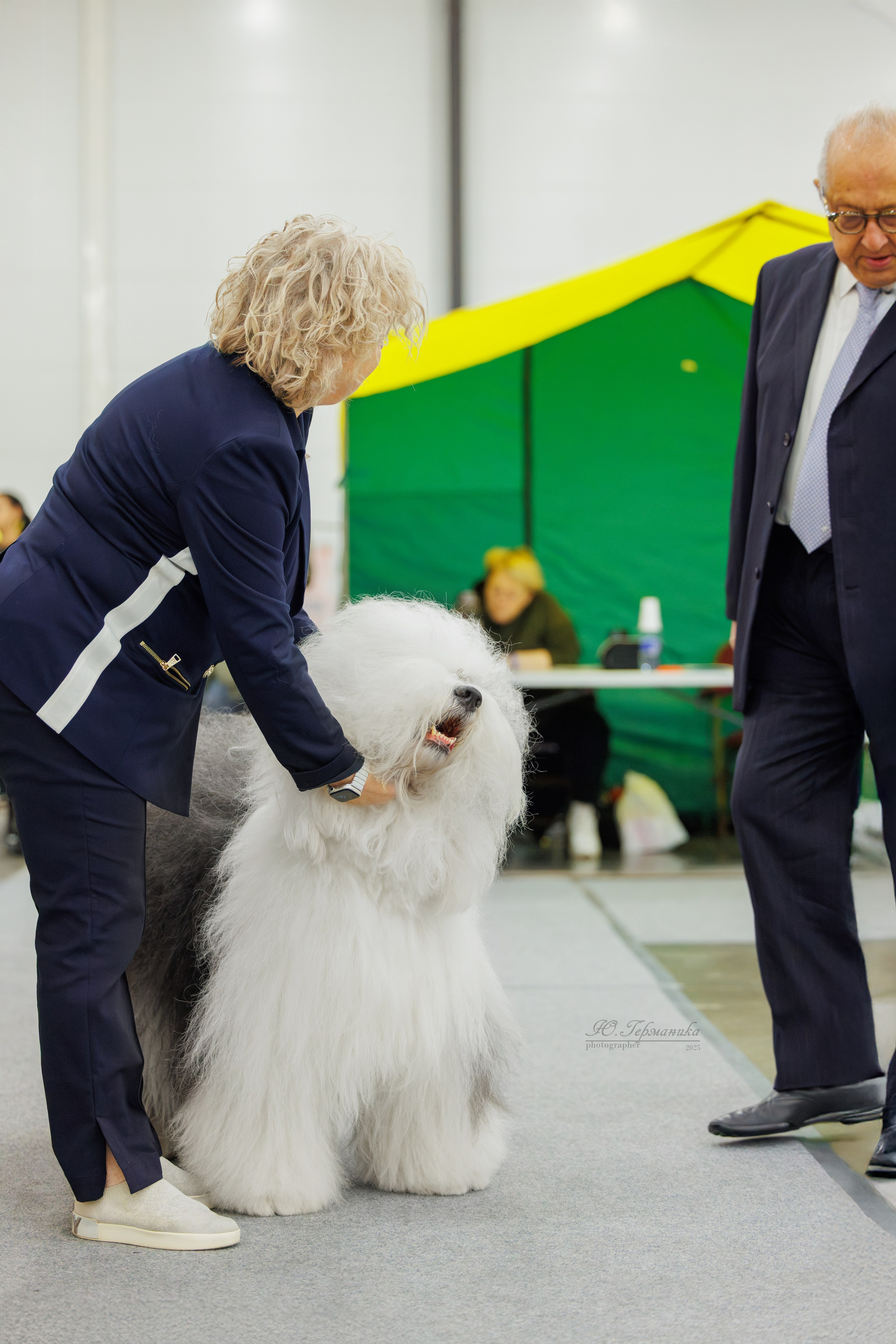 Питер 12-13.12.2025. Фотограф-анималист Юлия Германика