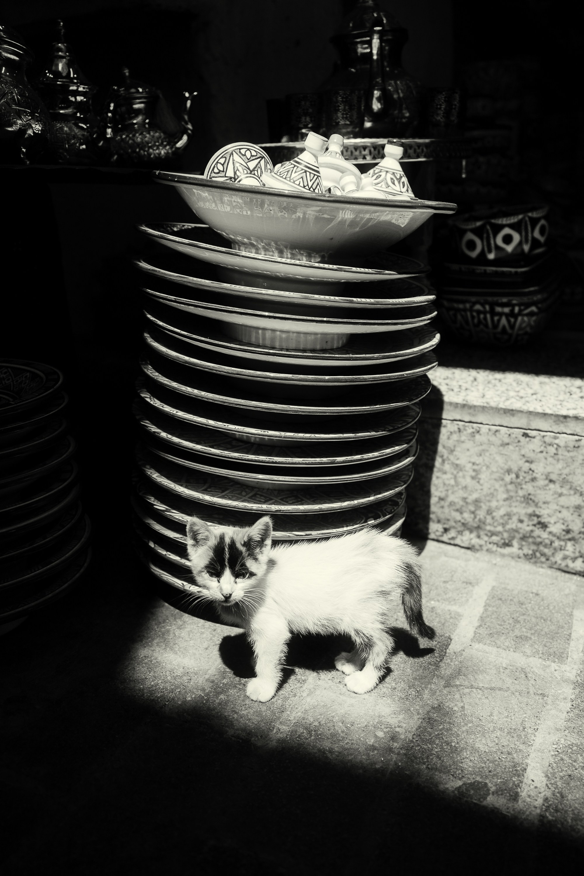 Северная Африка: Тунис, Марокко. Фотограф в Хабаровске. Фотография за 24 часа