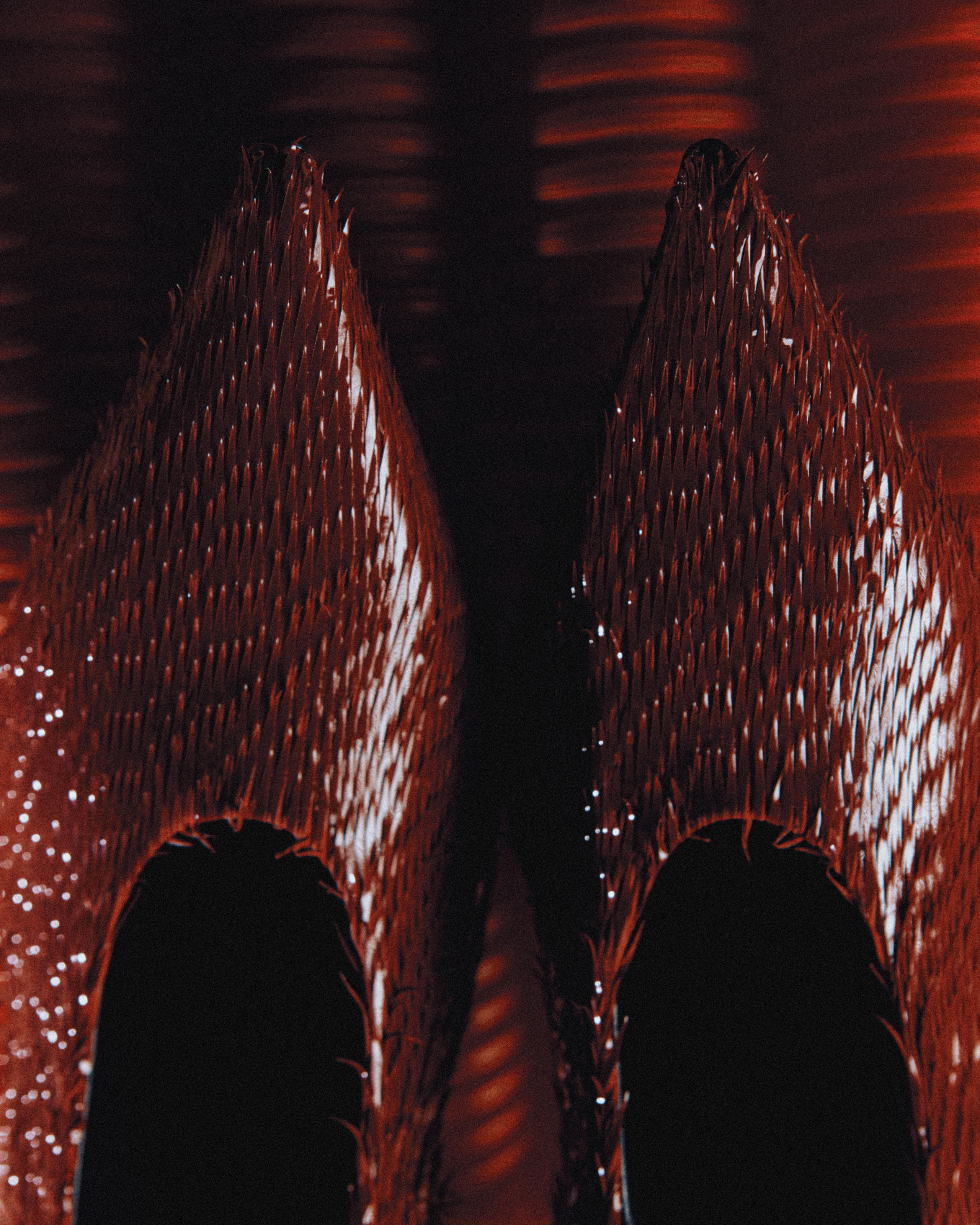 Accessories. Сет дизайнер предметный фотограф в Москве Анна Андреева