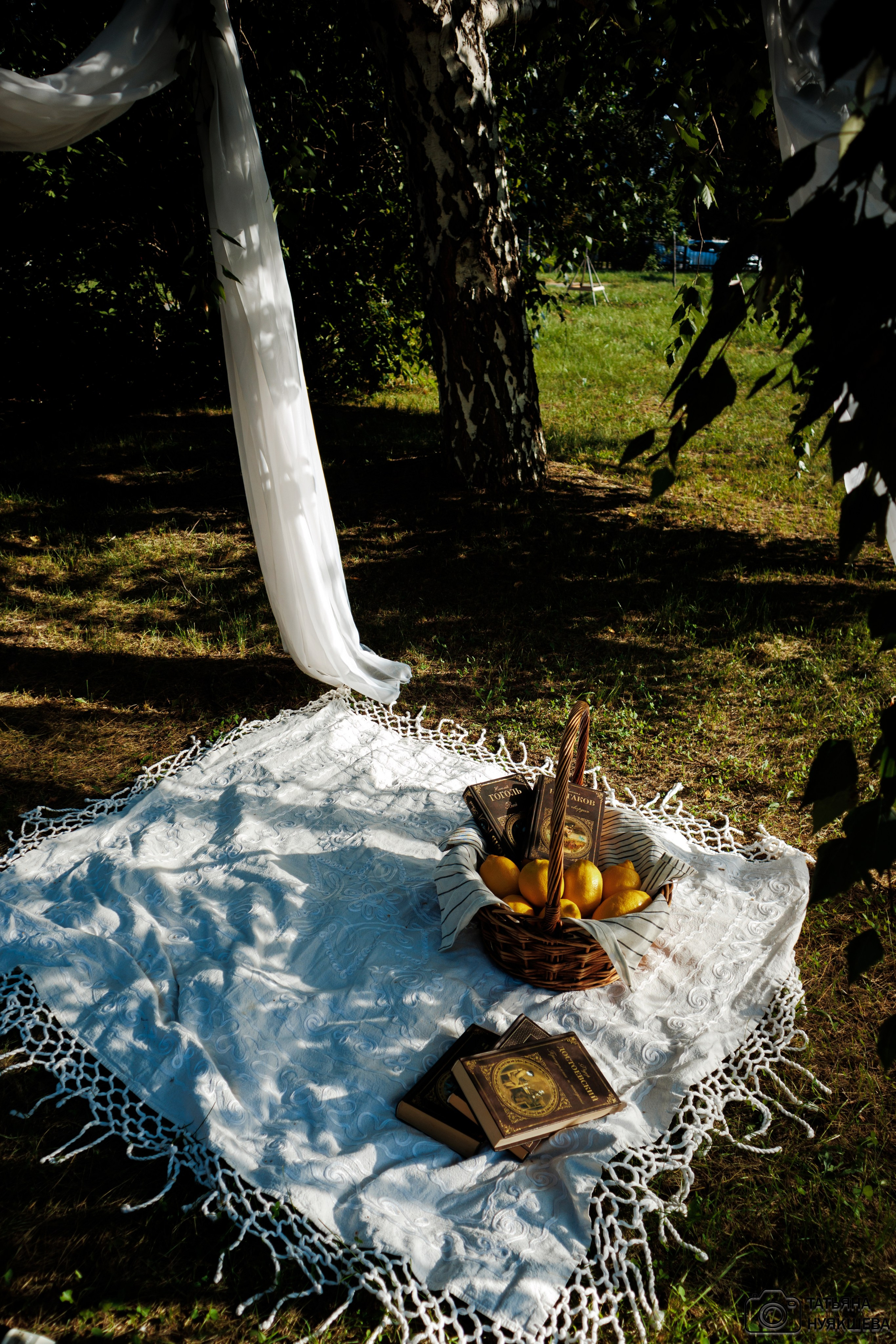 Арт-пикник 26.07.2024. Свадебный и семейный фотограф Татьяна Нуякшева Новоалтайск — Барнаул