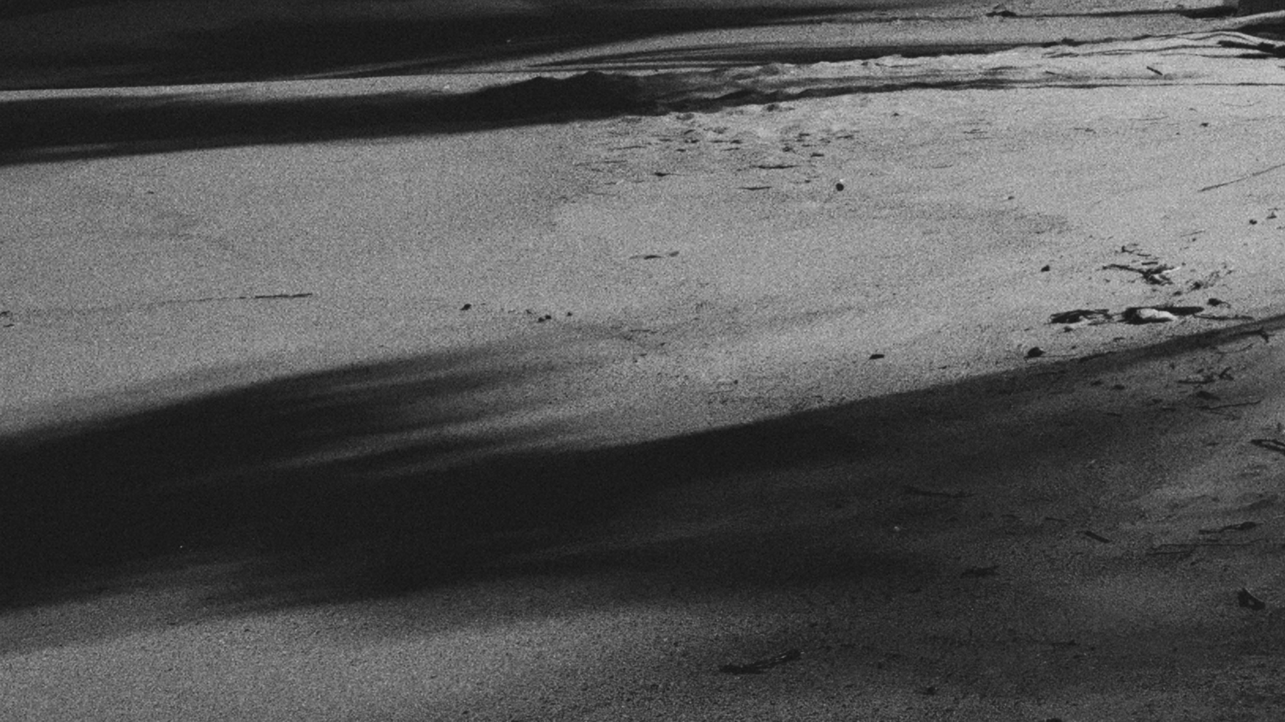 WIND. Виолетта Скрипка