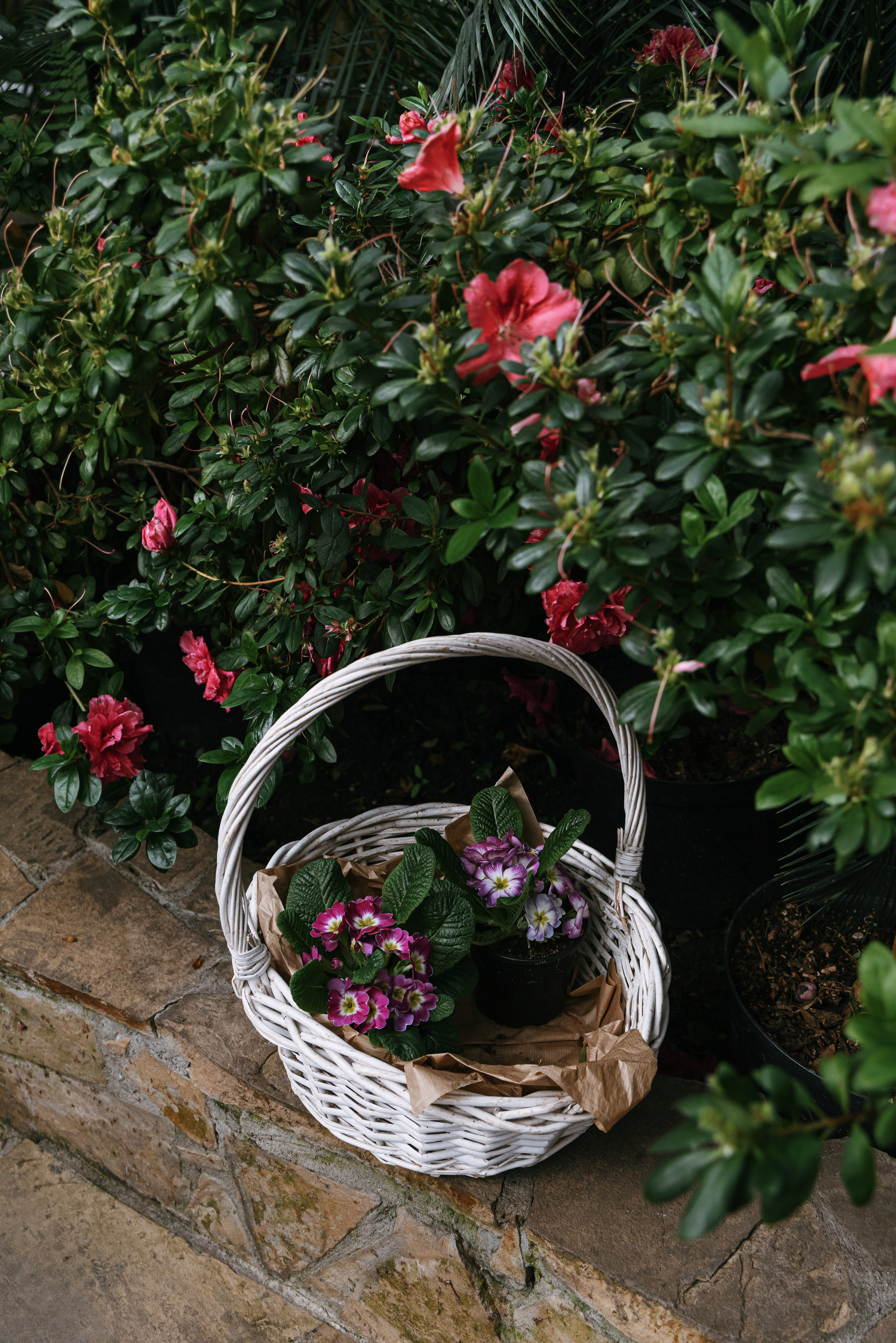 Цветочная композиция с белой корзинкой - вертикальная фотография для социальных сетей и сайтов