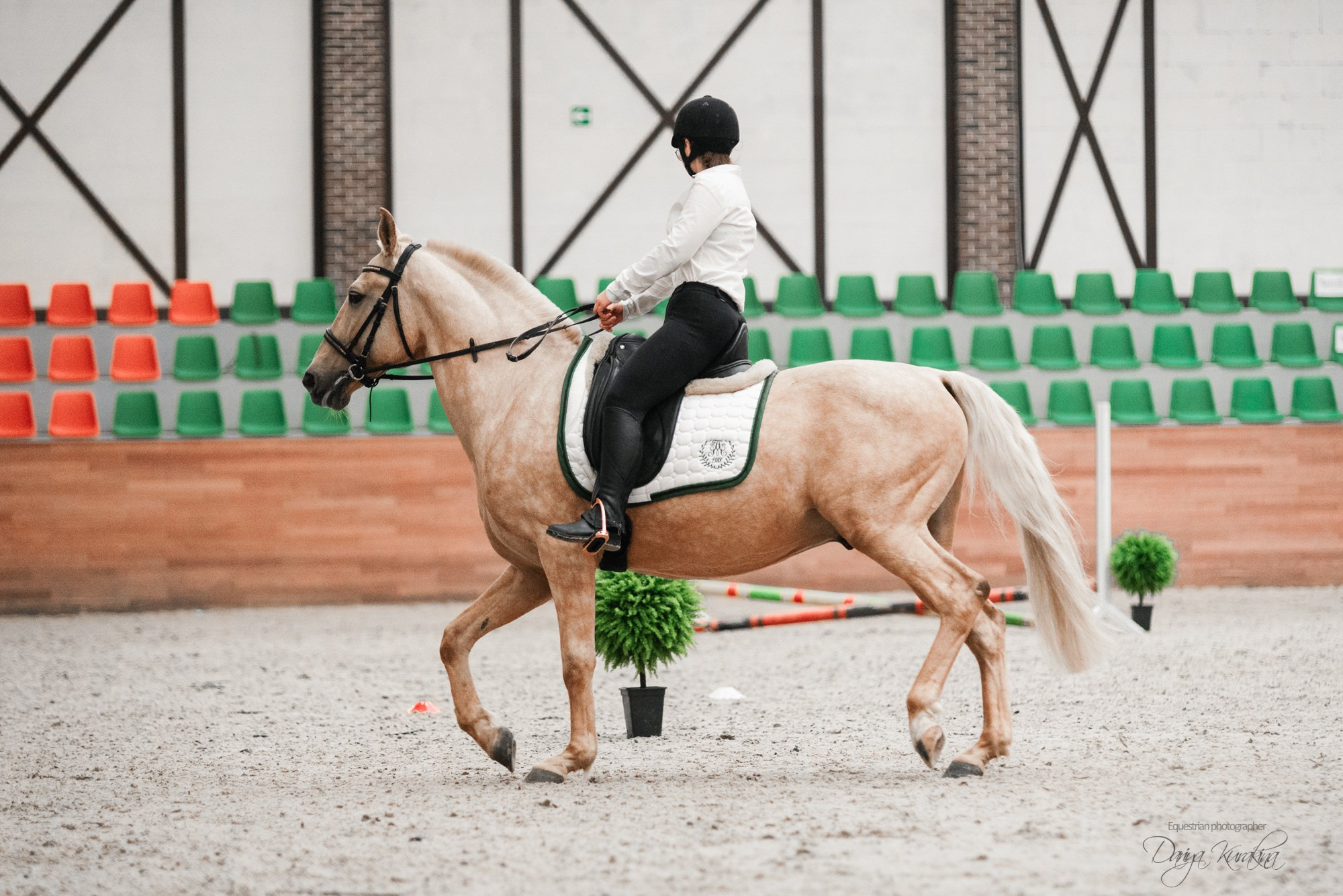 8-я международная выставка Конная Россия. Конный фотограф Куракина Дарья • Фотосессии с лошадьми